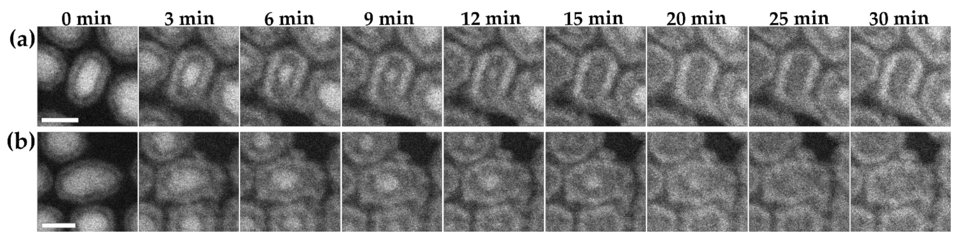 Materials 15 01557 g008