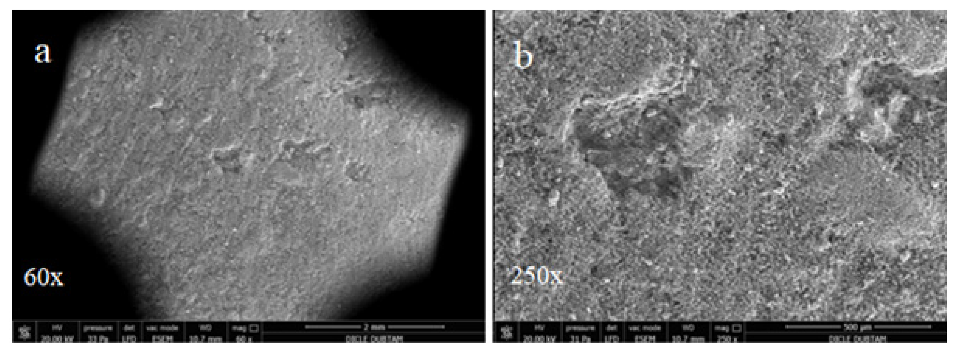 Materials 15 01581 g011 550