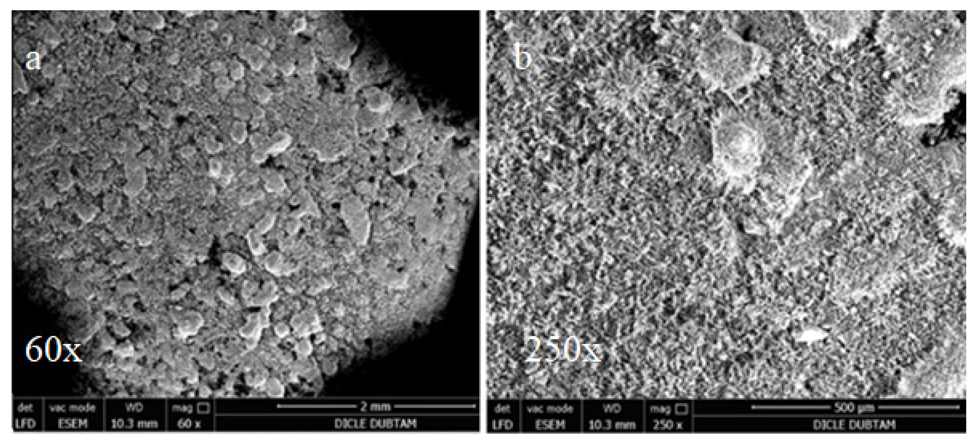 Materials 15 01581 g012 550