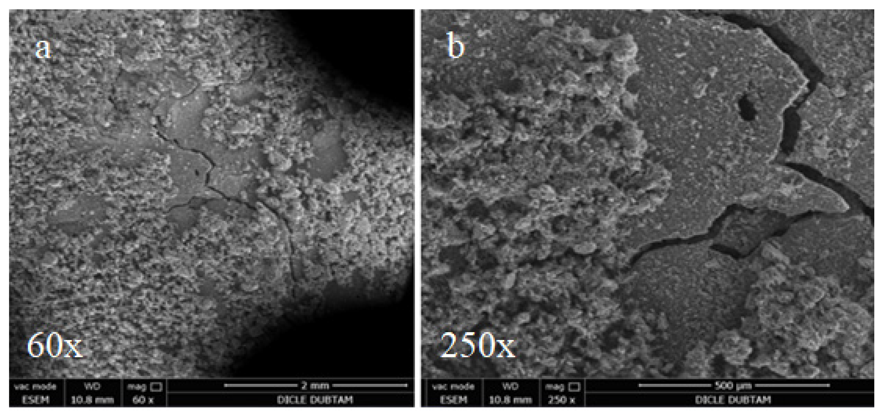 Materials 15 01581 g015 550