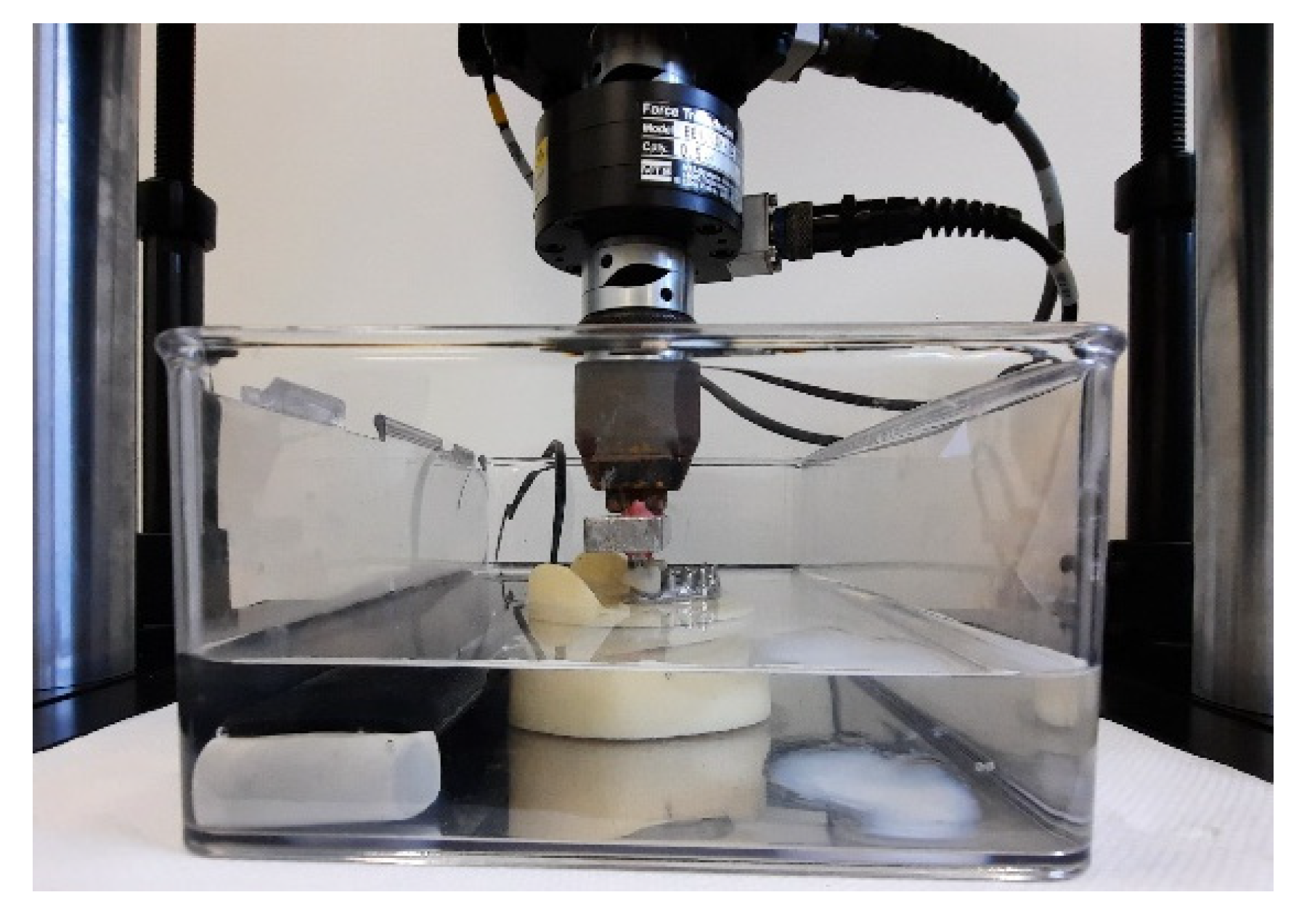 Materials 15 01582 g004 550