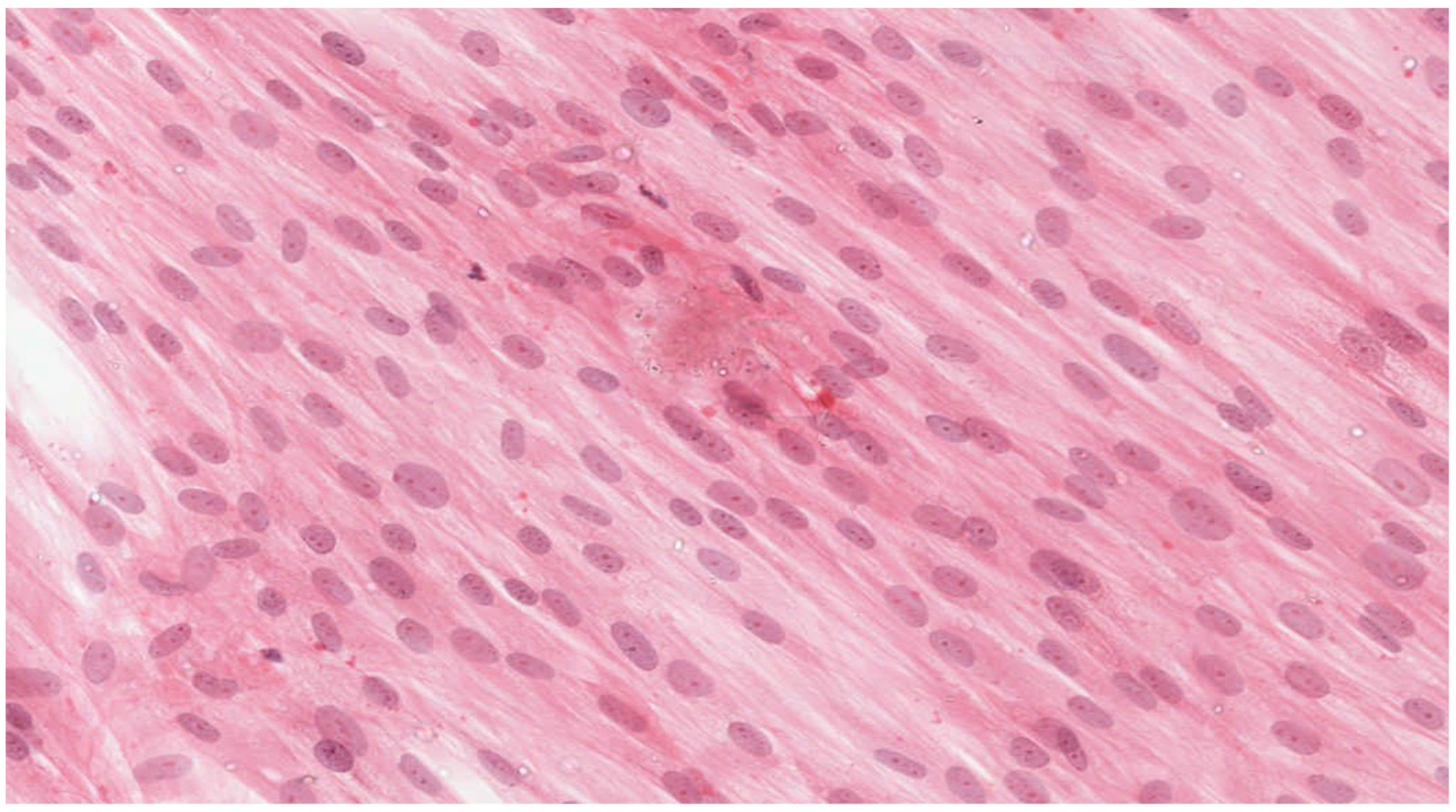 Materials 15 01583 g002