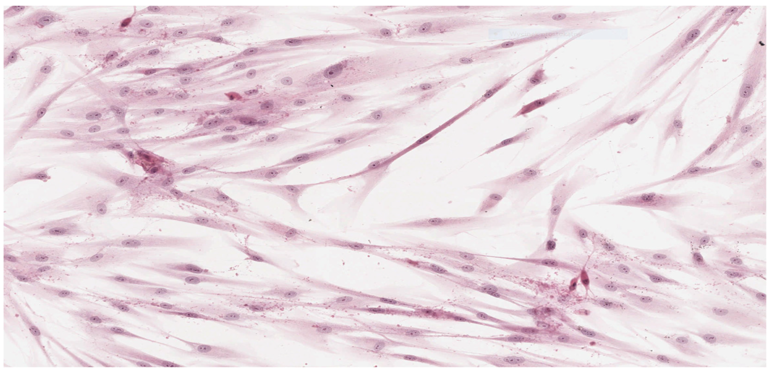 Materials 15 01583 g003