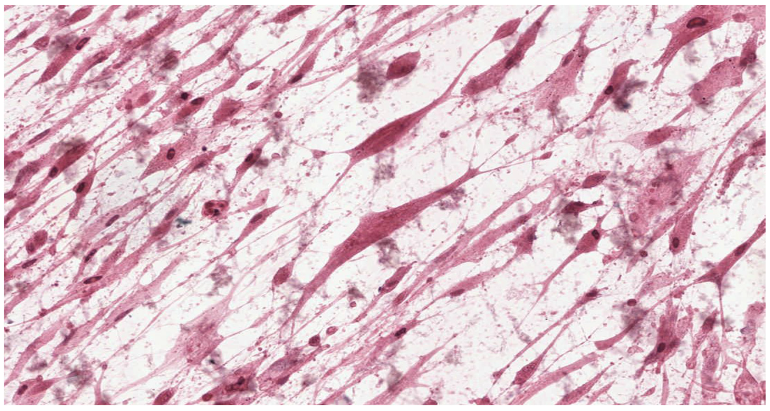 Materials 15 01583 g008