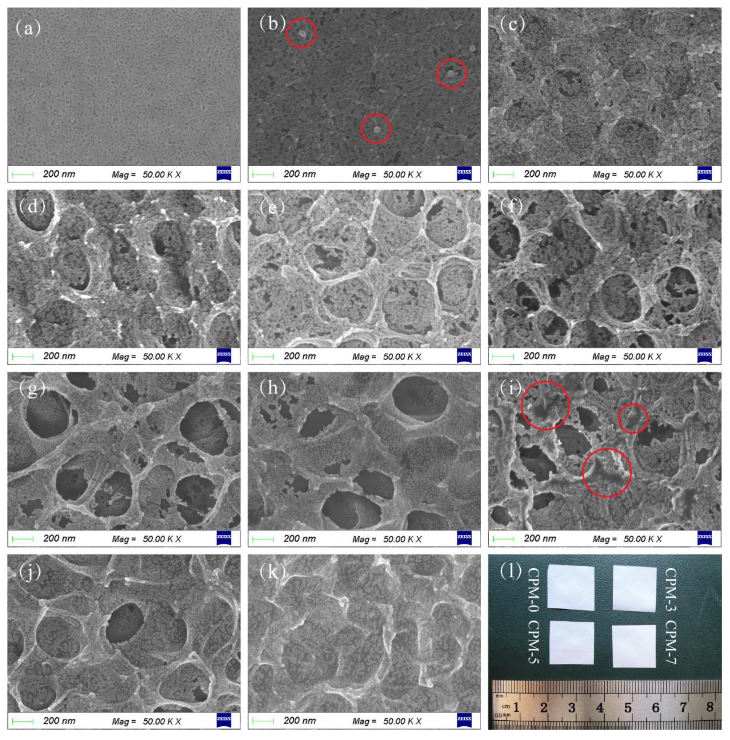 Materials 15 01584 g002 550