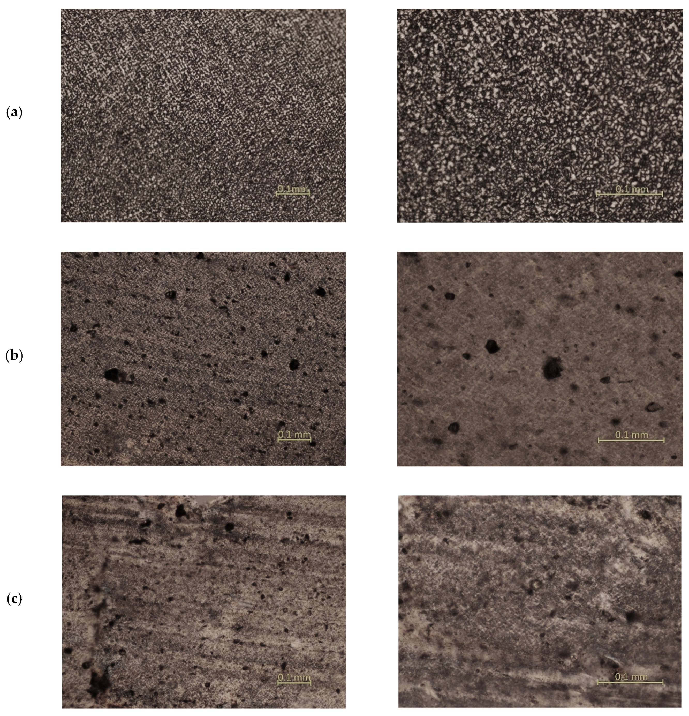 Materials 15 01587 g004 550