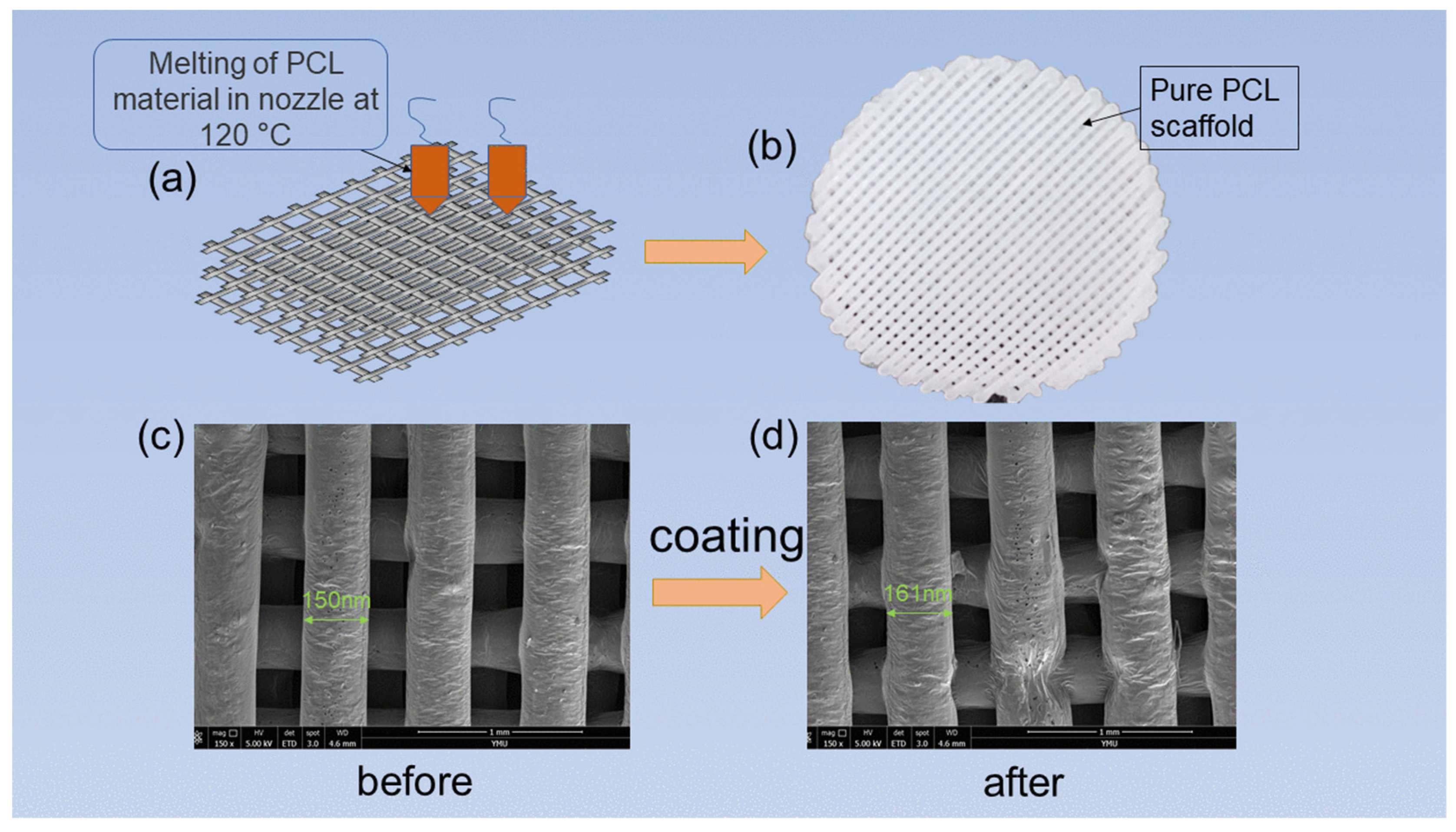 Materials 15 01591 g002