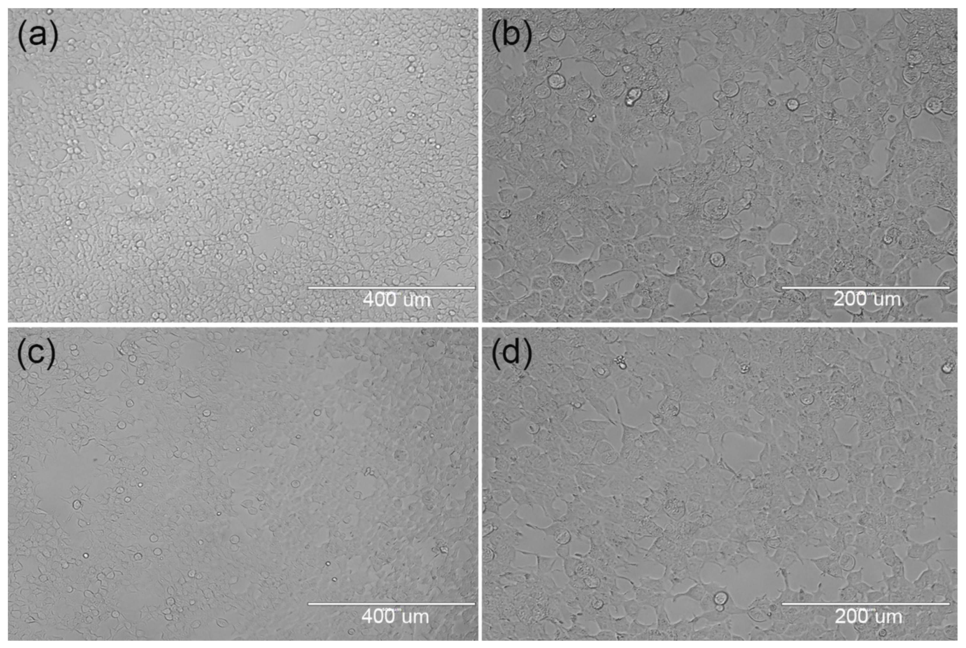 Materials 15 01591 g006