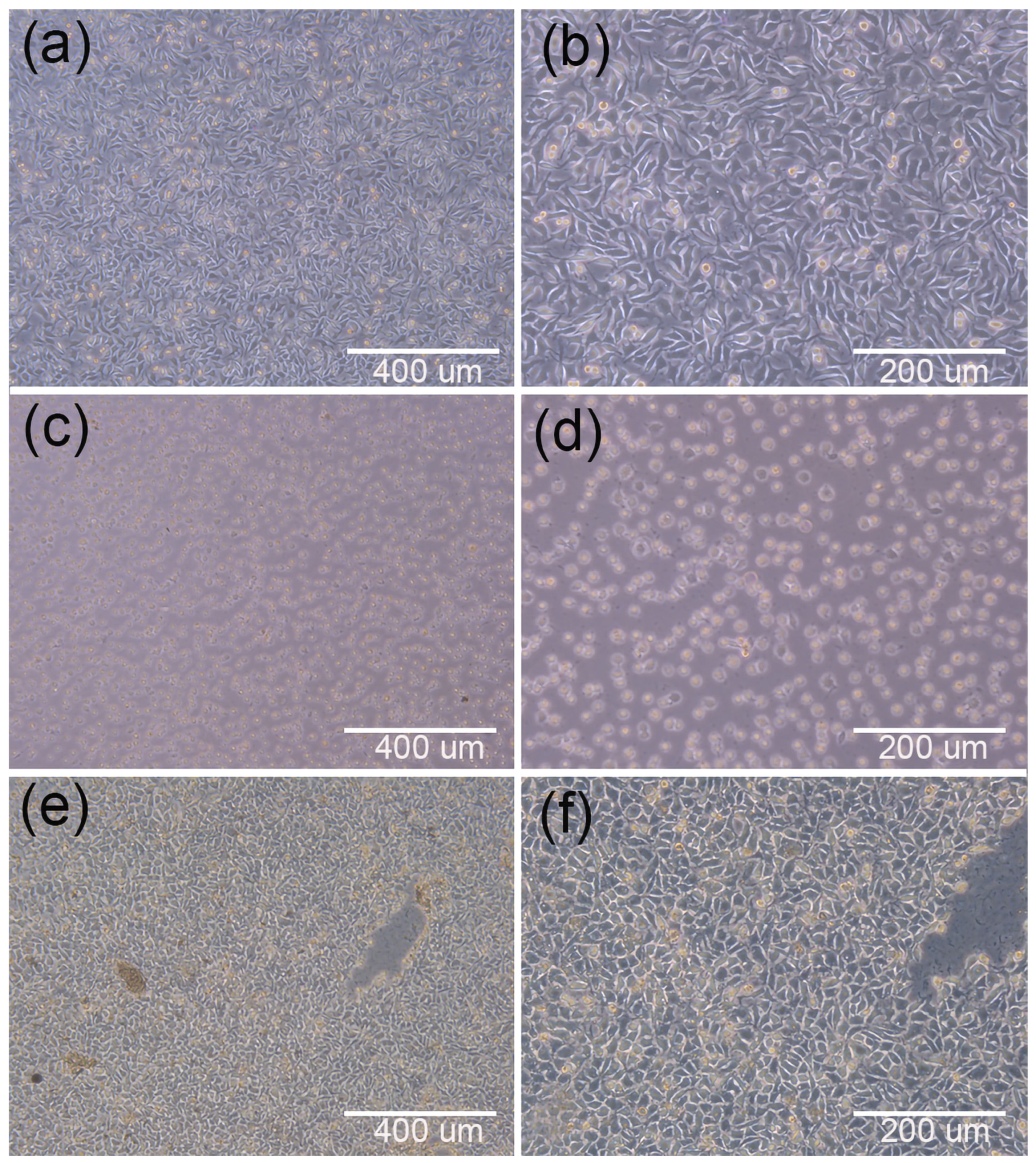 Materials 15 01591 g009