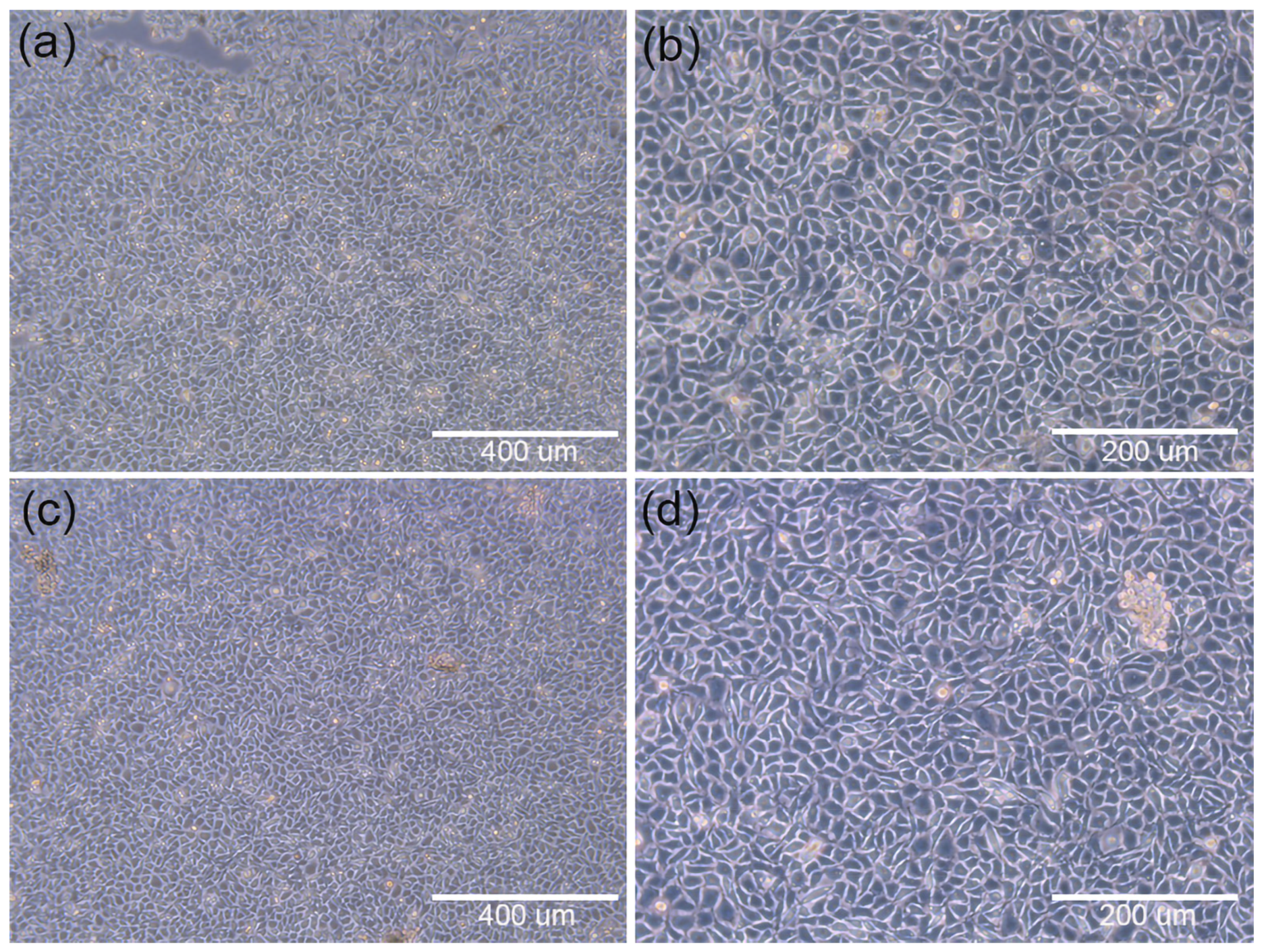 Materials 15 01591 g010