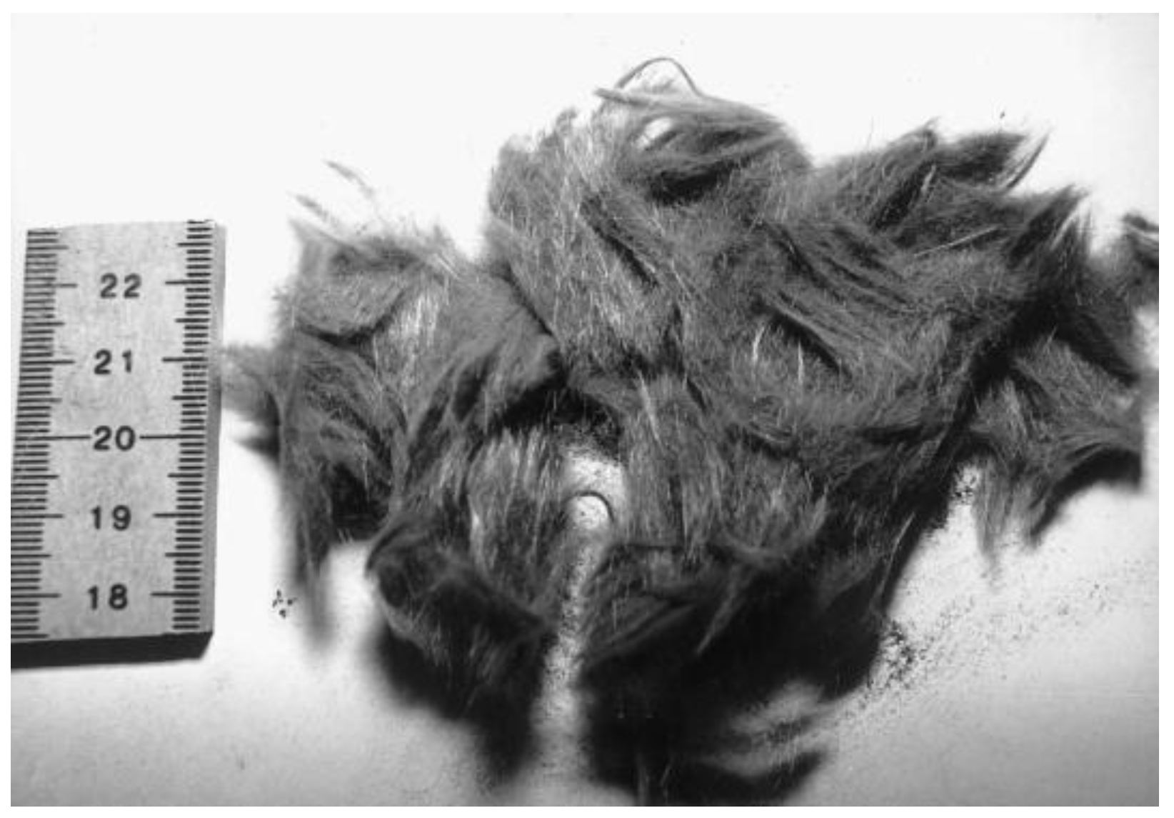 Materials 15 01596 g011