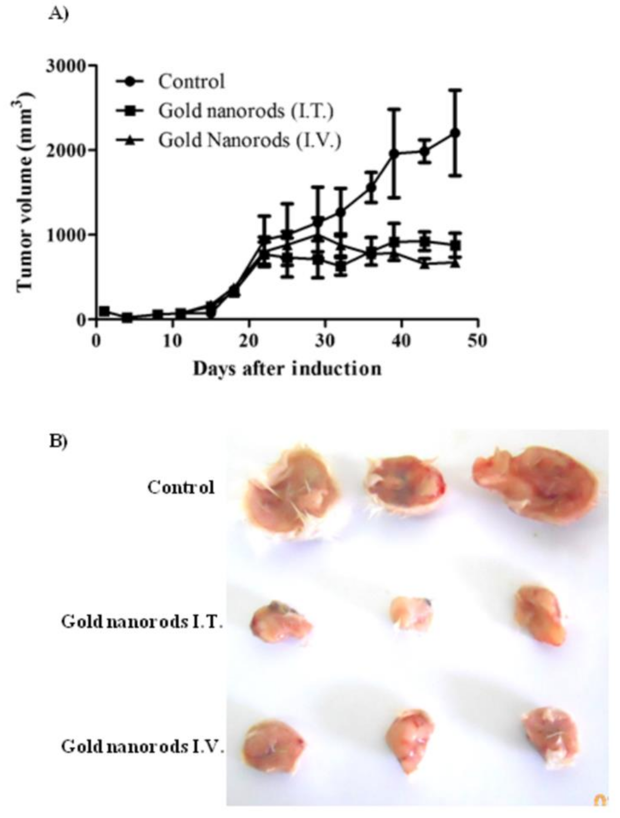 Materials 15 01606 g012 550