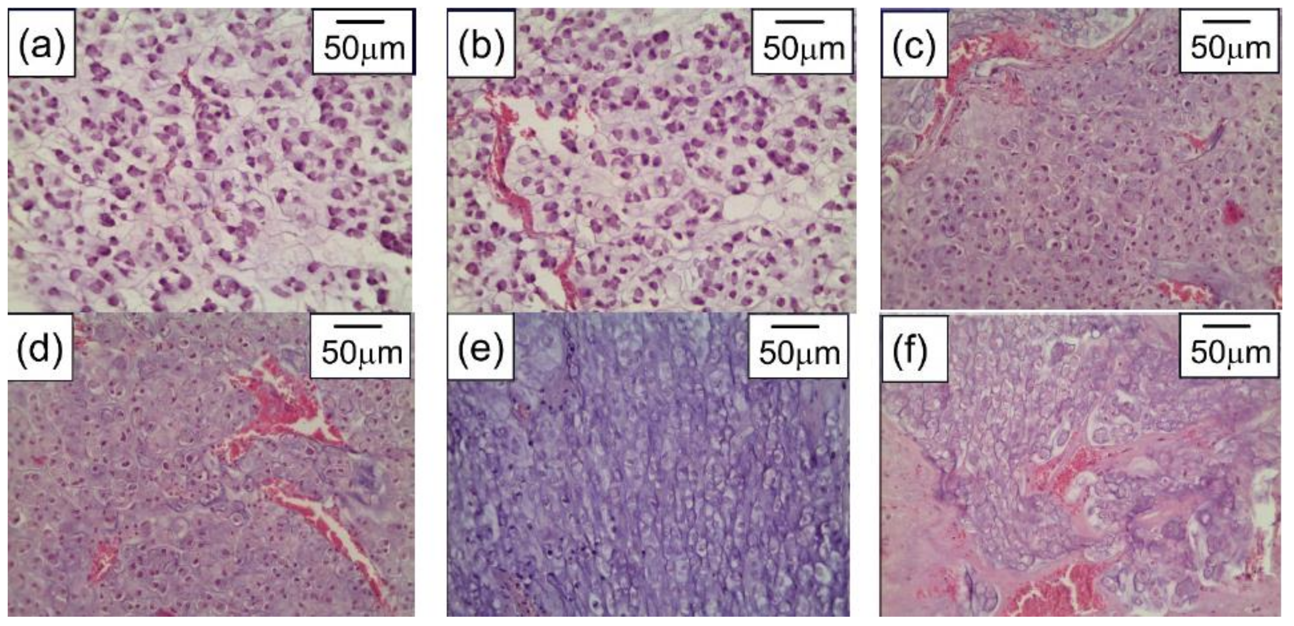 Materials 15 01606 g013 550