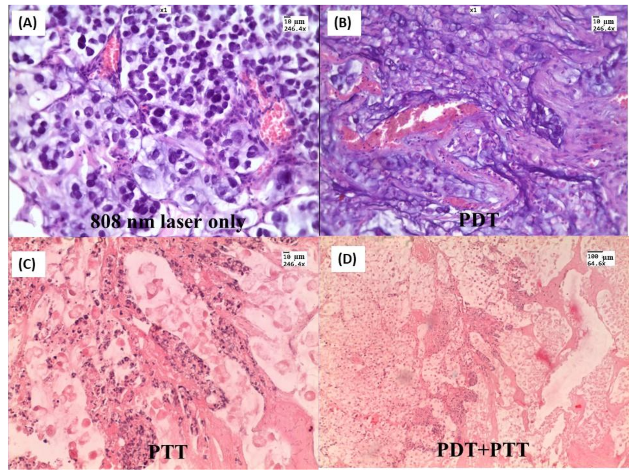 Materials 15 01606 g015 550