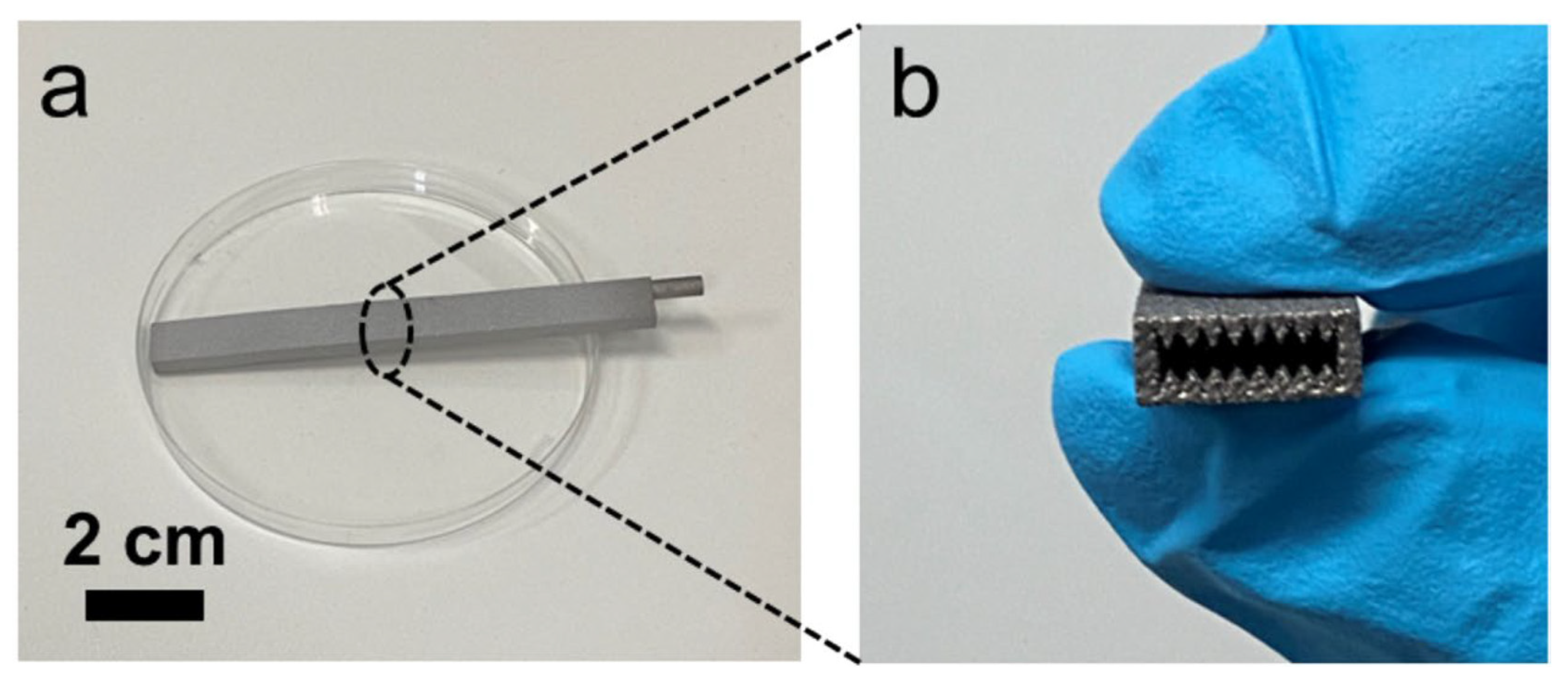 Materials 15 01609 g005 550