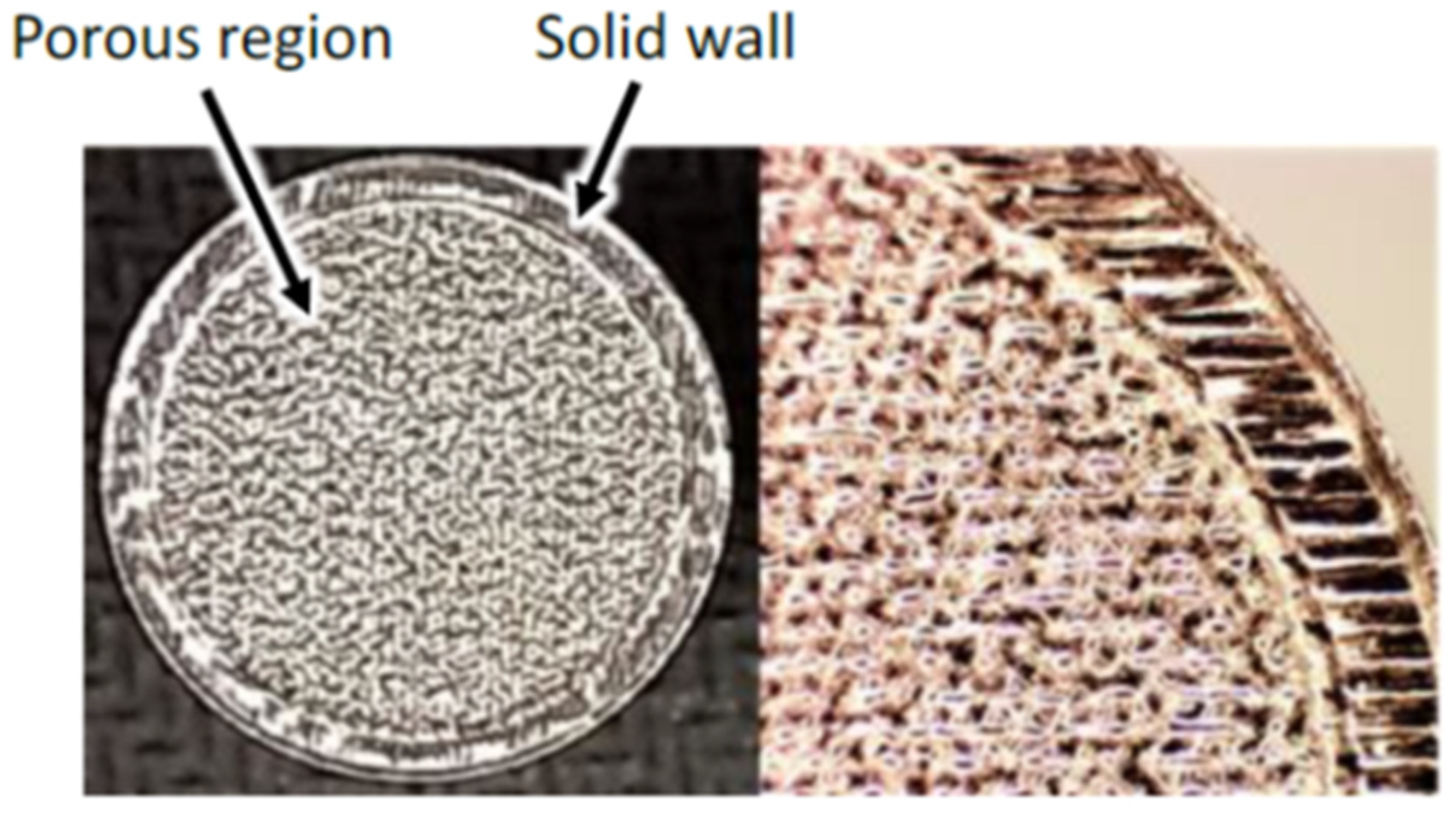 Materials 15 01609 g007 550