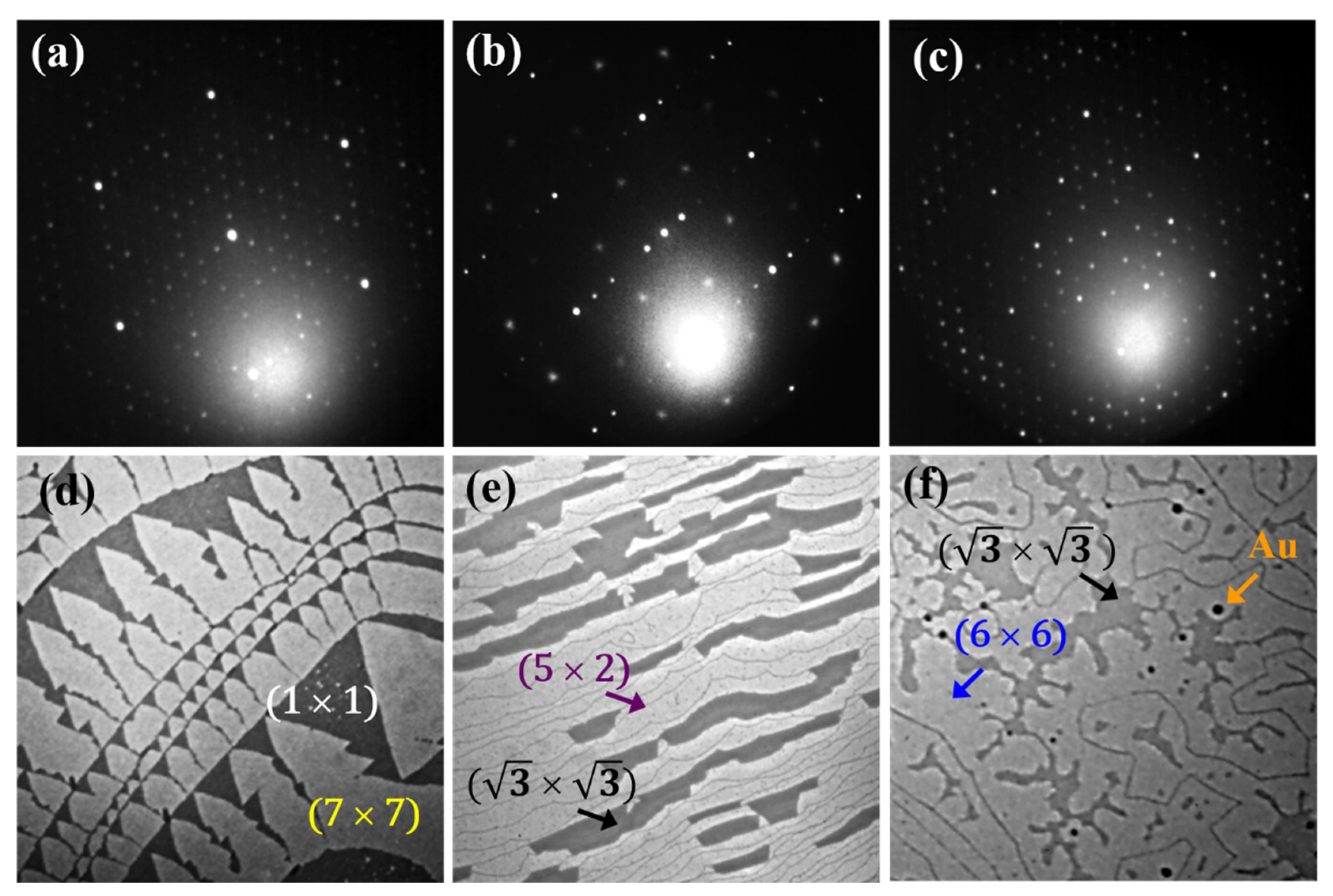 Materials 15 01610 g001 550