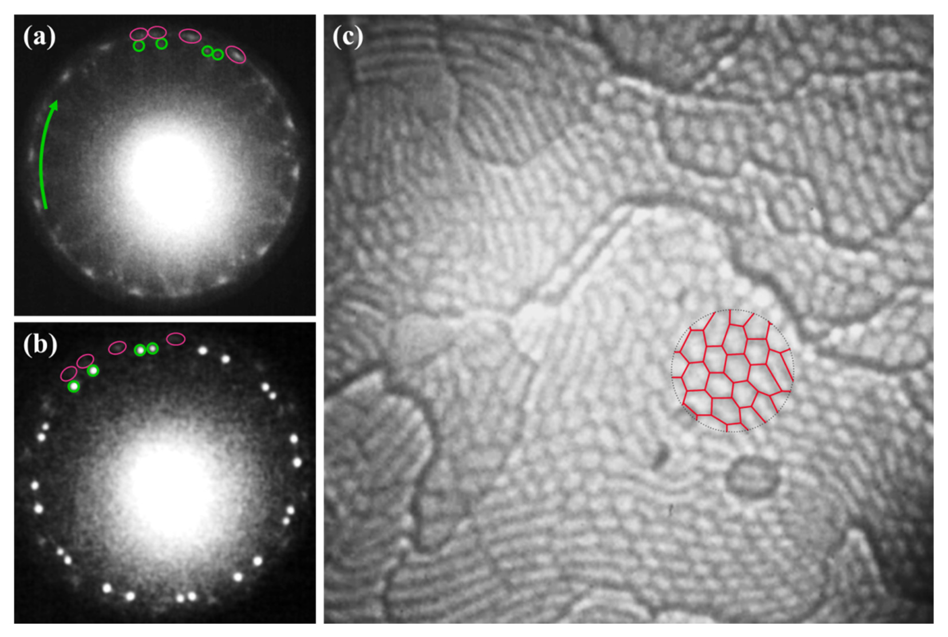 Materials 15 01610 g003 550