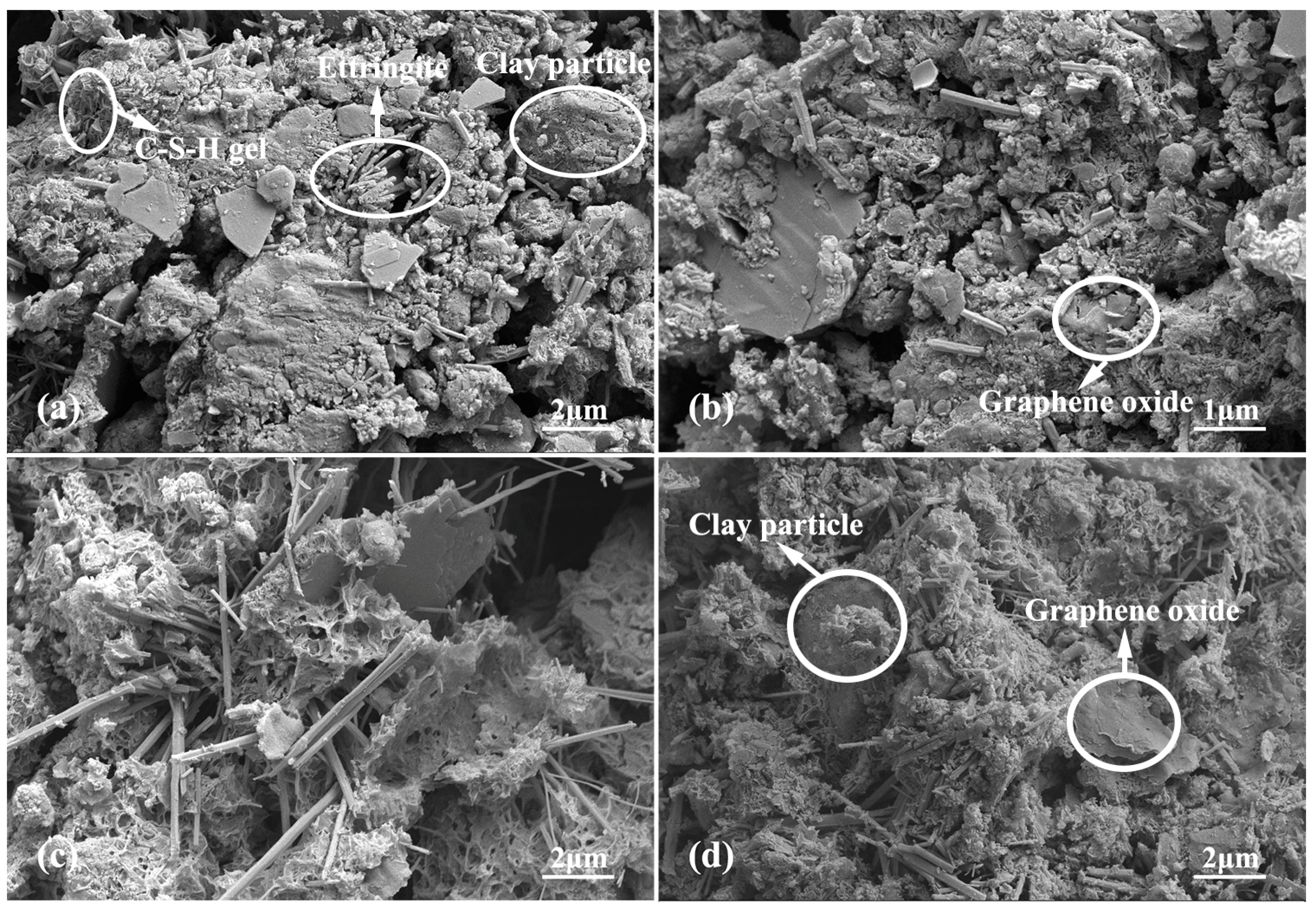 Materials 15 01623 g007 550