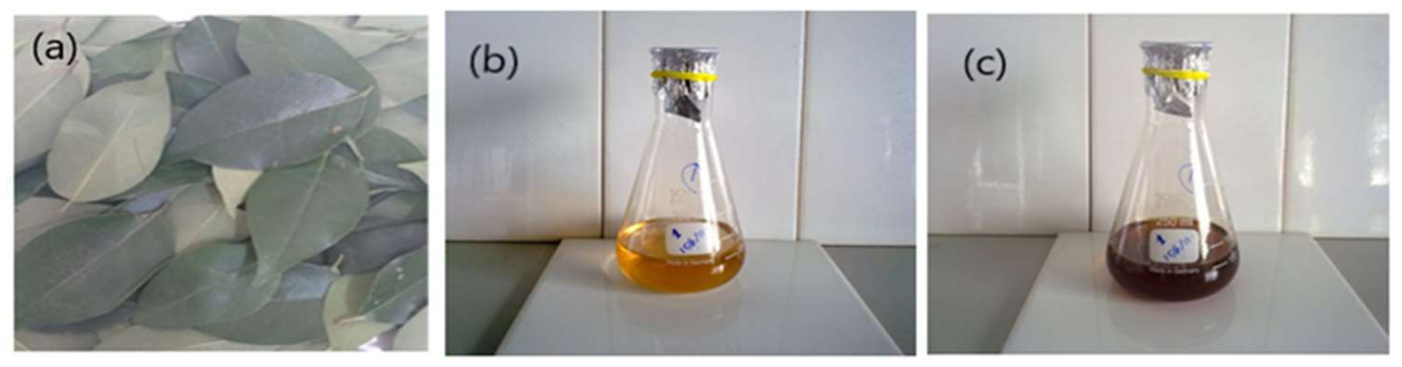 Materials 15 01637 g001 550