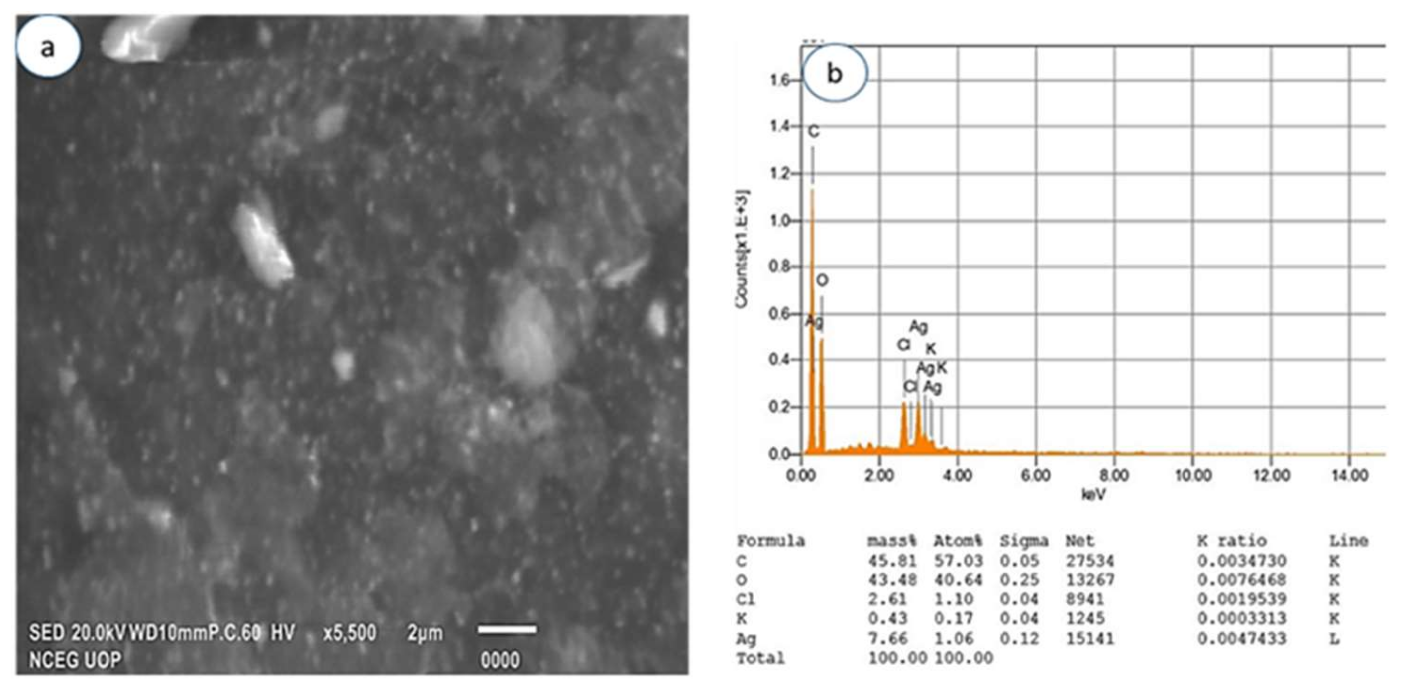 Materials 15 01637 g006 550