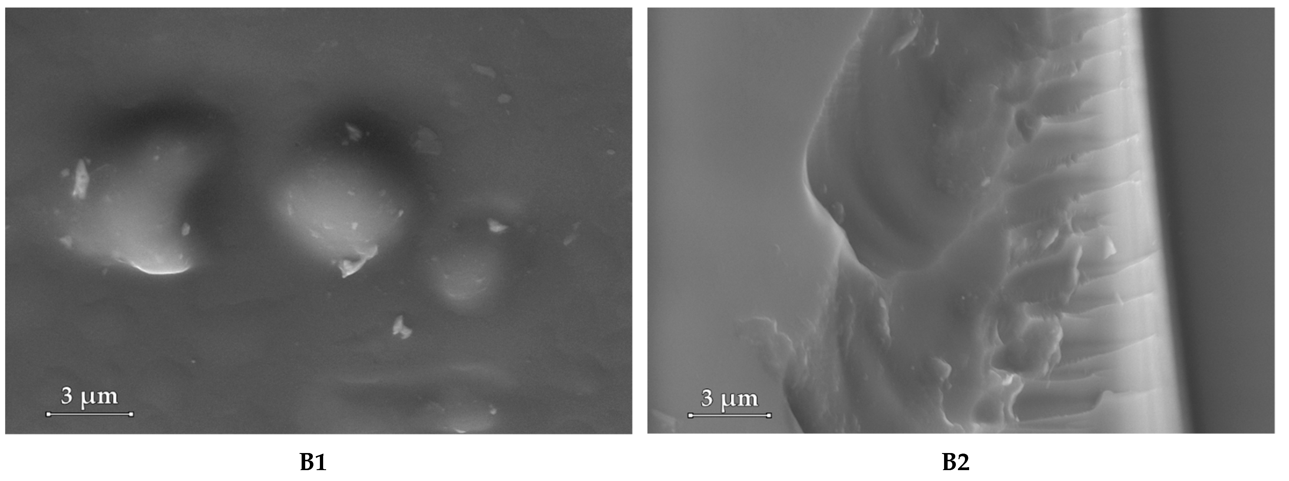 Materials 15 01644 g006b 550