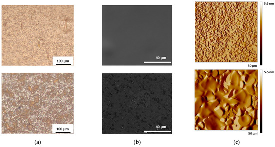 Materials Special Issue Drug Delivery Recent Developments And Future Prospects