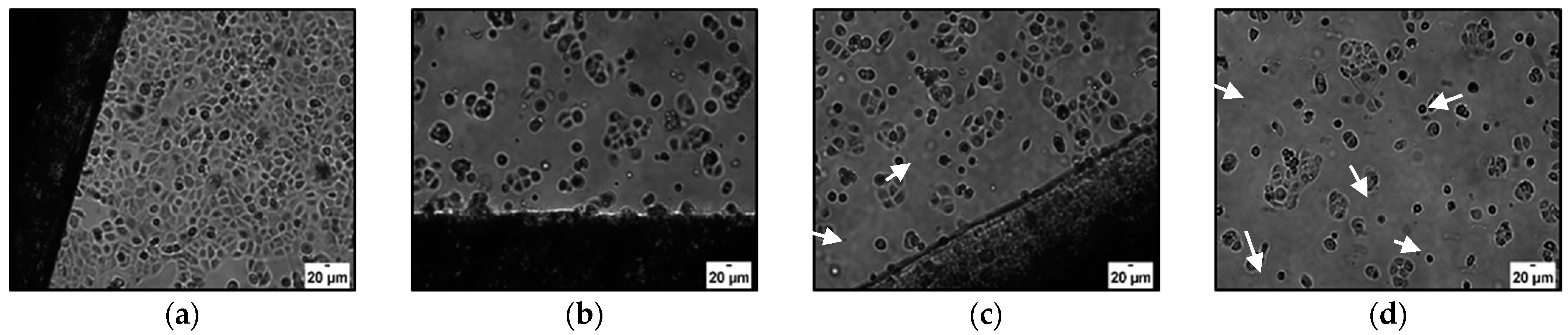 Materials 15 01648 g009