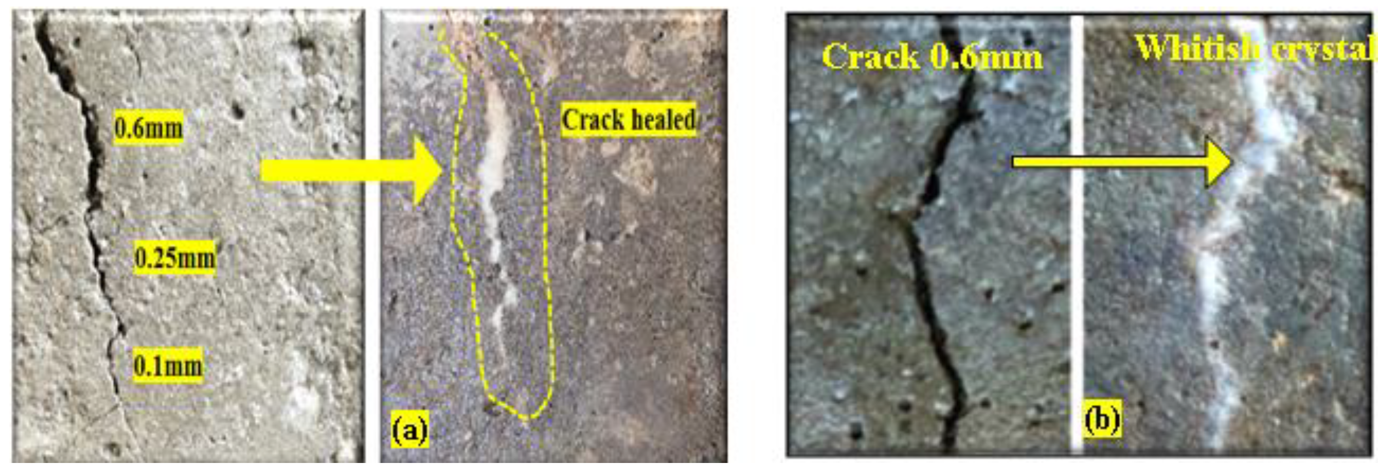 Materials 15 01650 g007