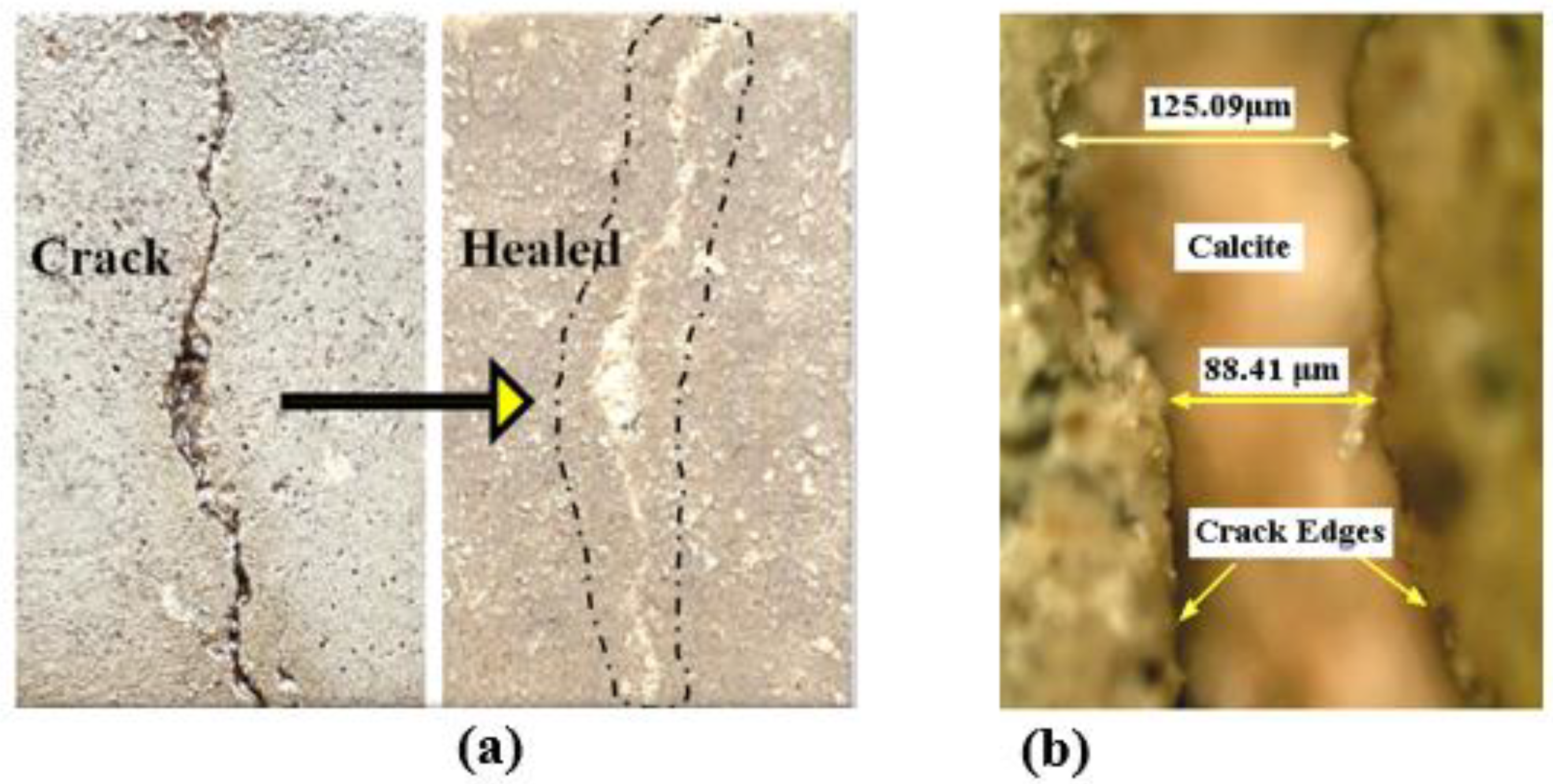 Materials 15 01650 g008