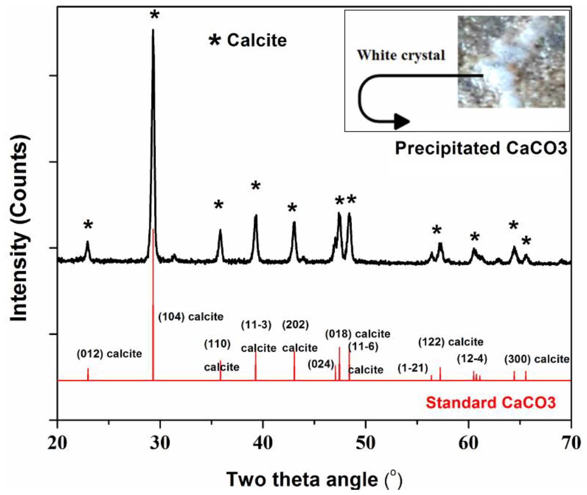 Materials 15 01650 g009