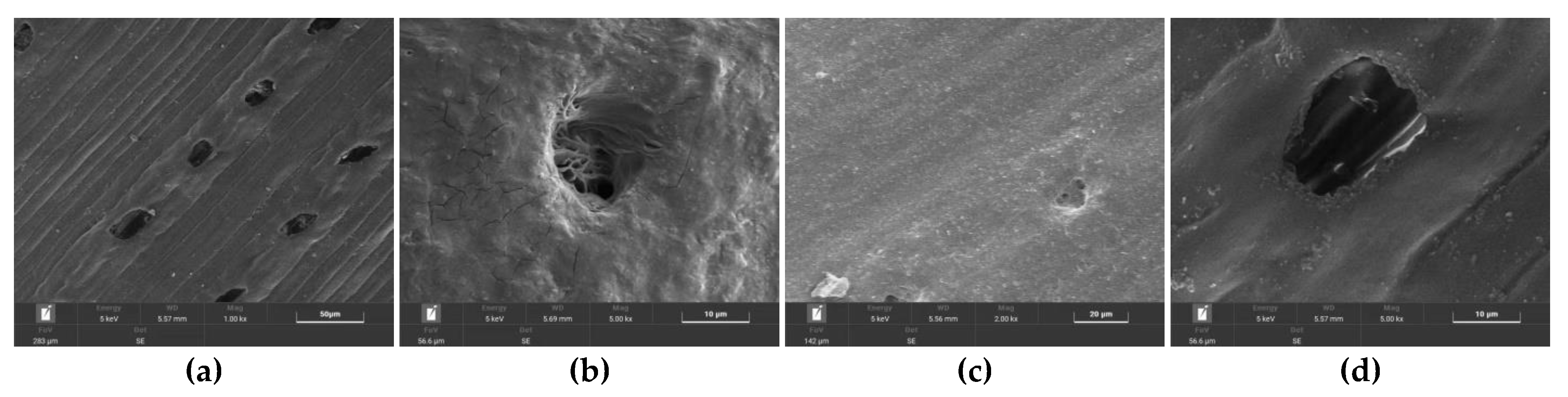 Materials 15 01654 g004