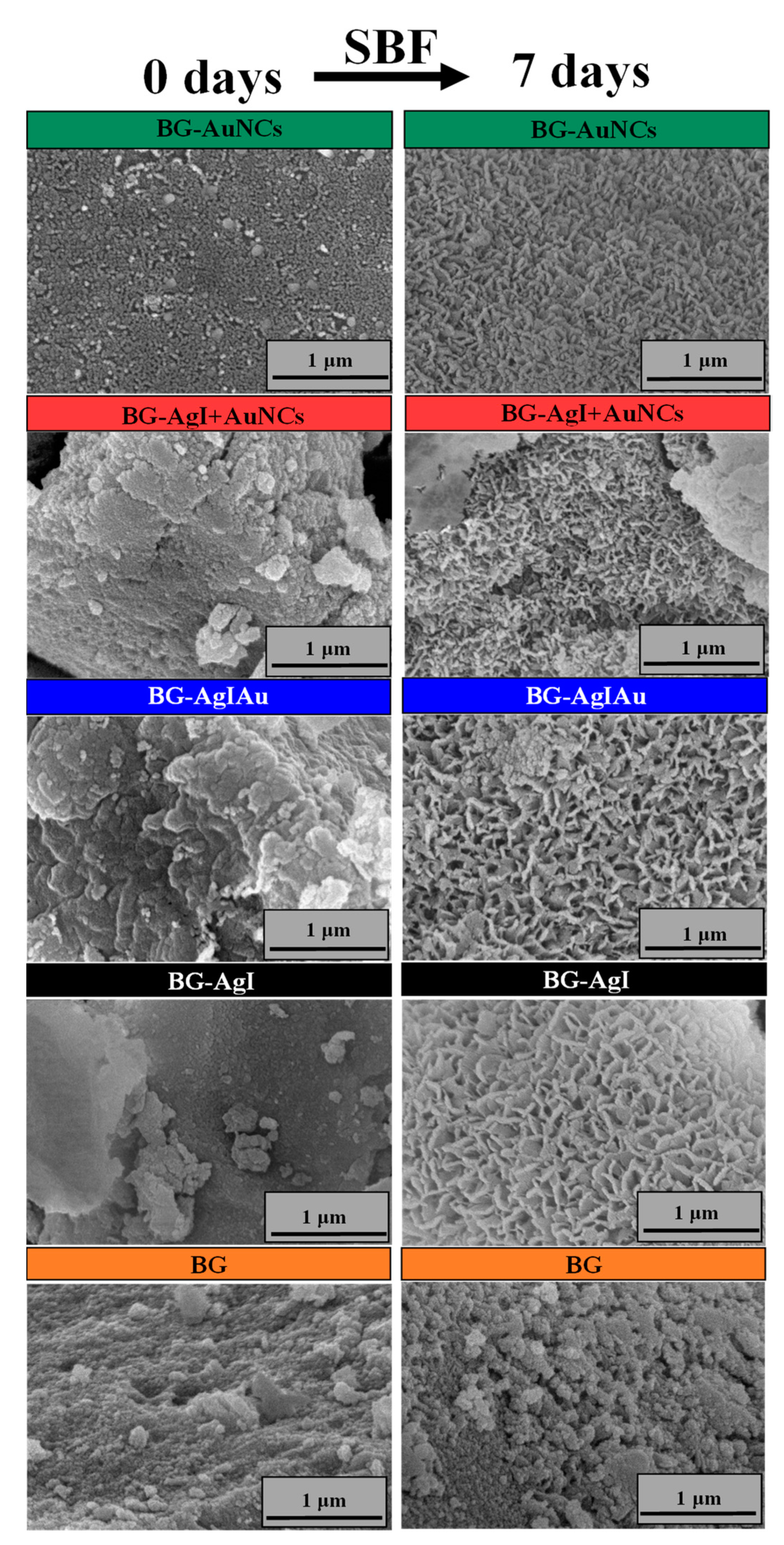 Materials 15 01655 g006 550