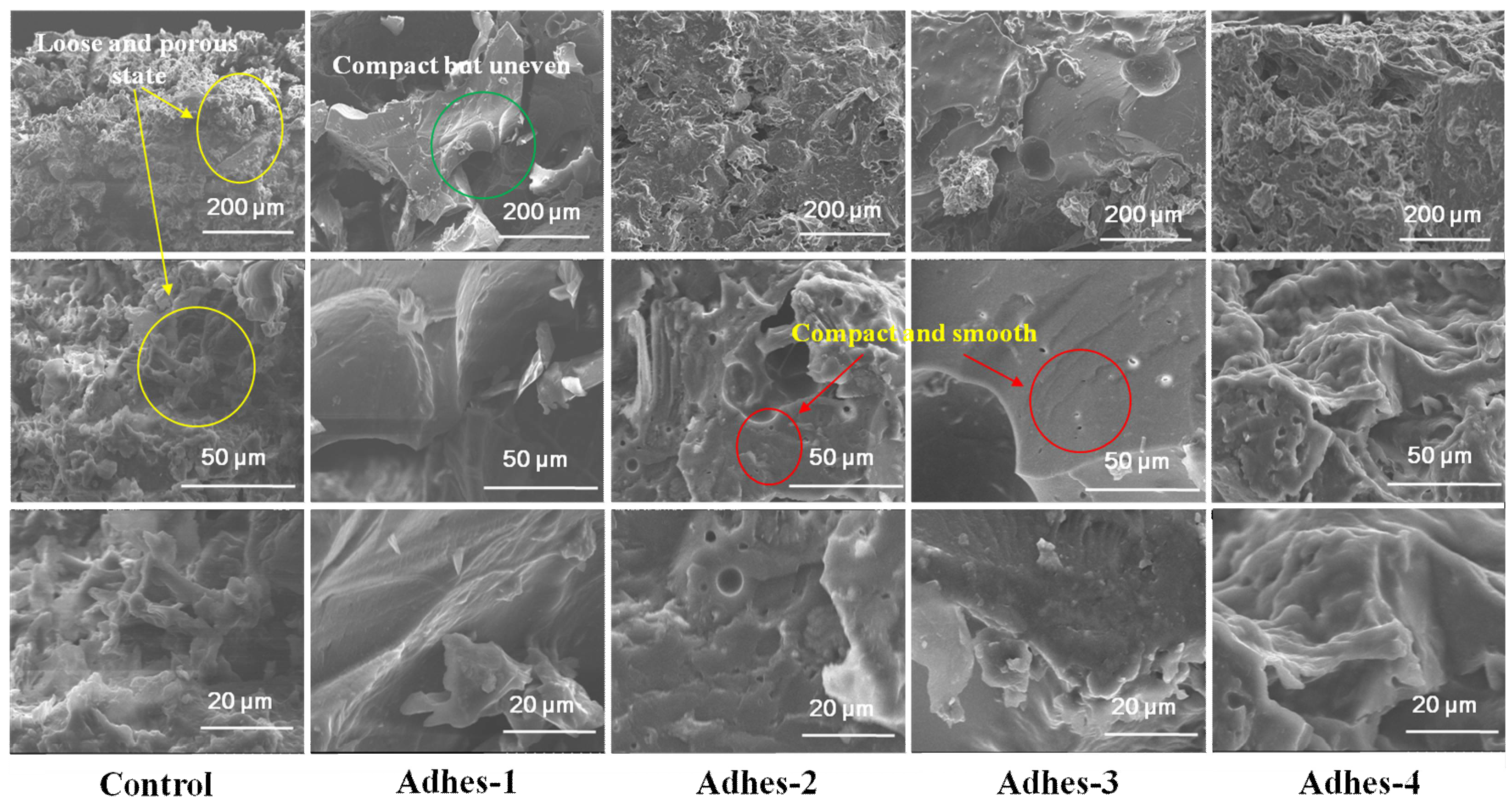 Materials 15 01659 g004 550