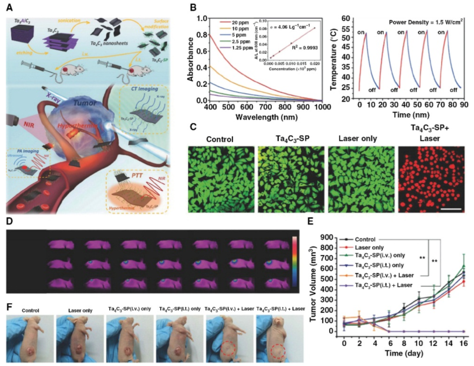 Materials 15 01666 g009