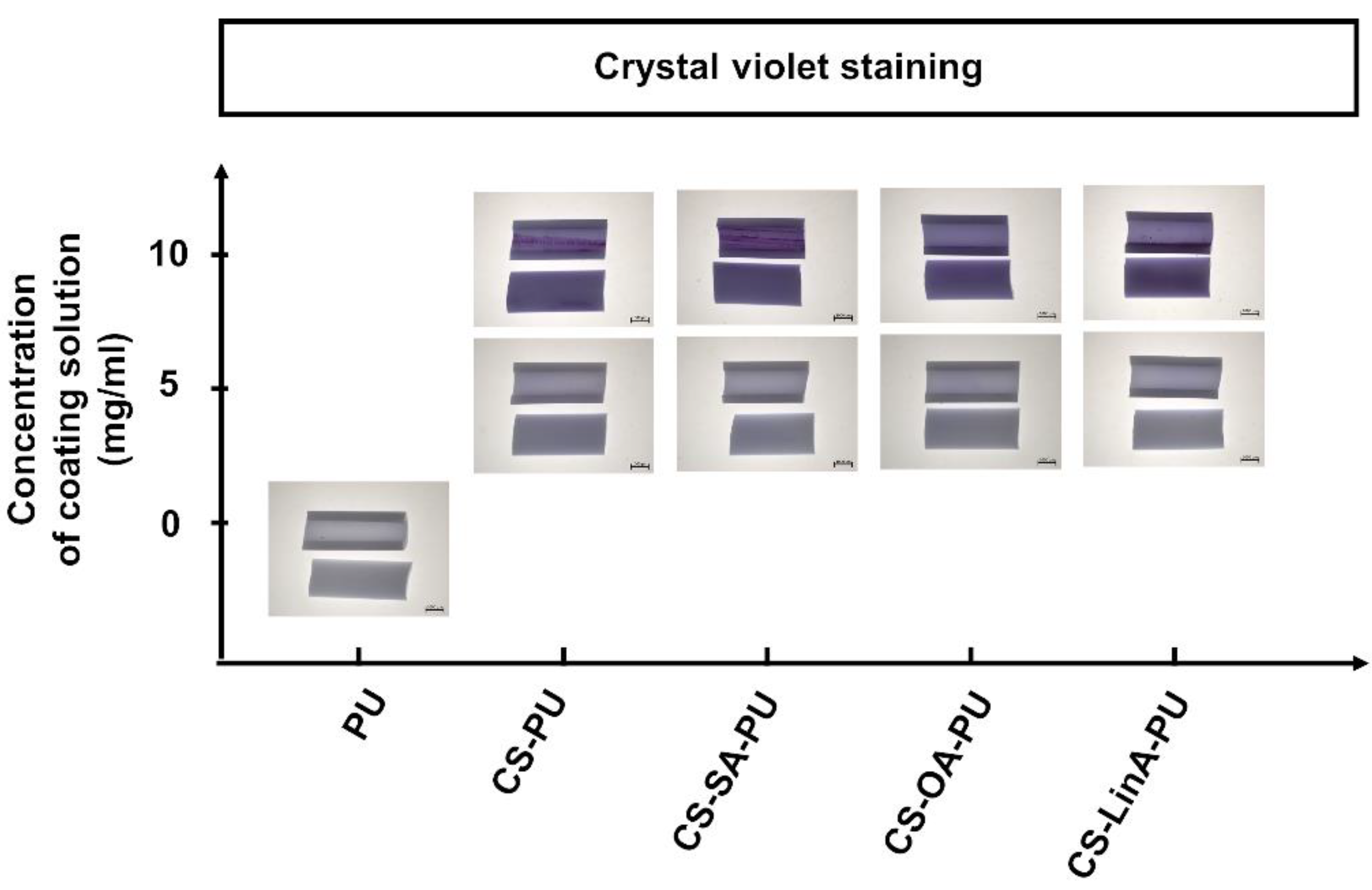 Materials 15 01676 g005 Materials 15 01676 g005