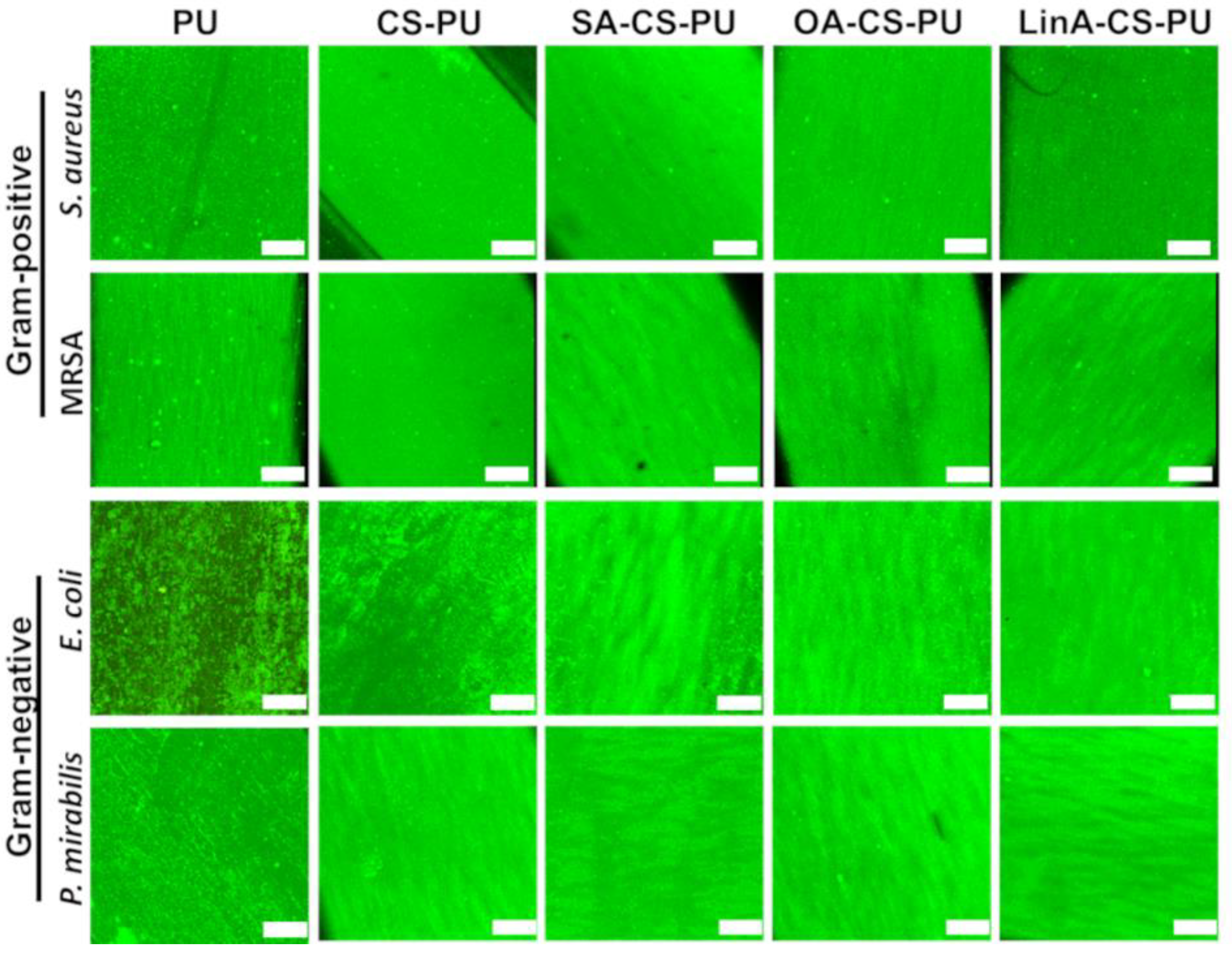 Materials 15 01676 g013 Materials 15 01676 g013