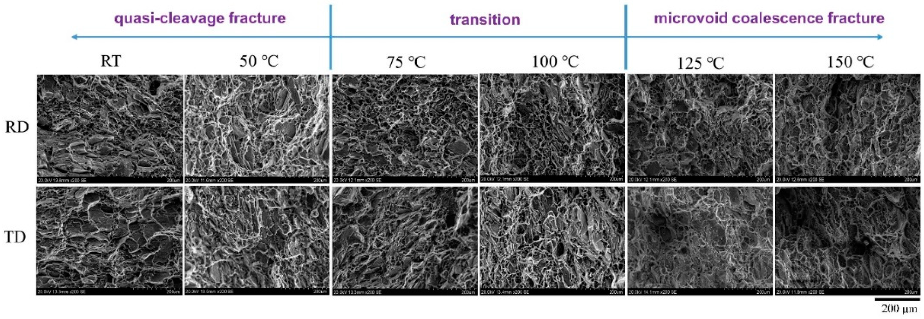 Materials 15 01686 g007 550