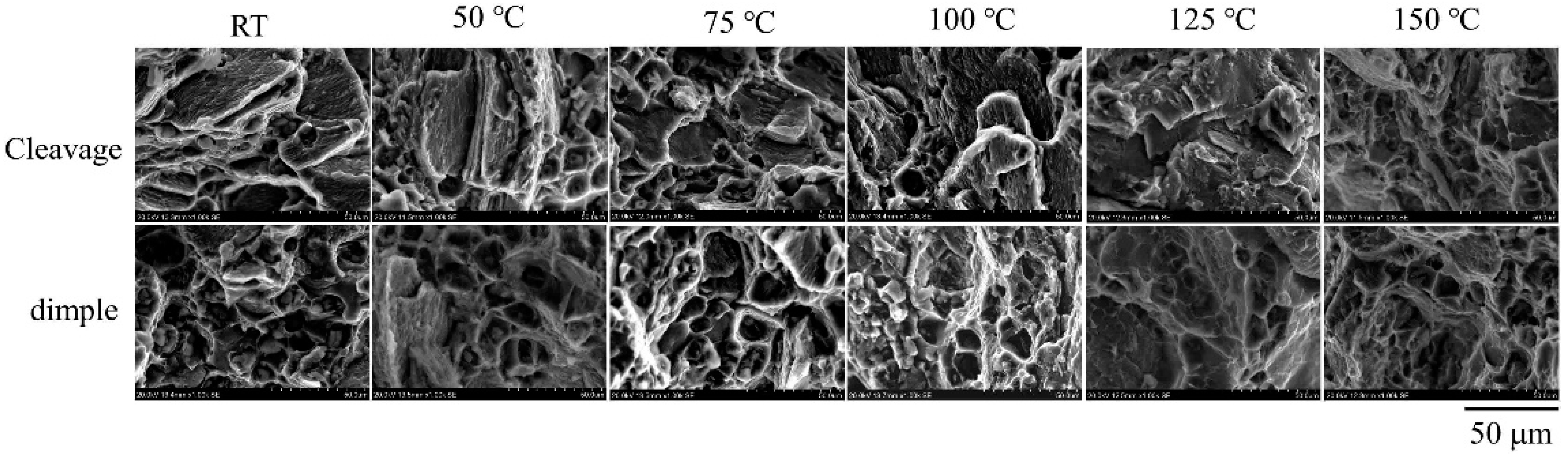 Materials 15 01686 g008 550