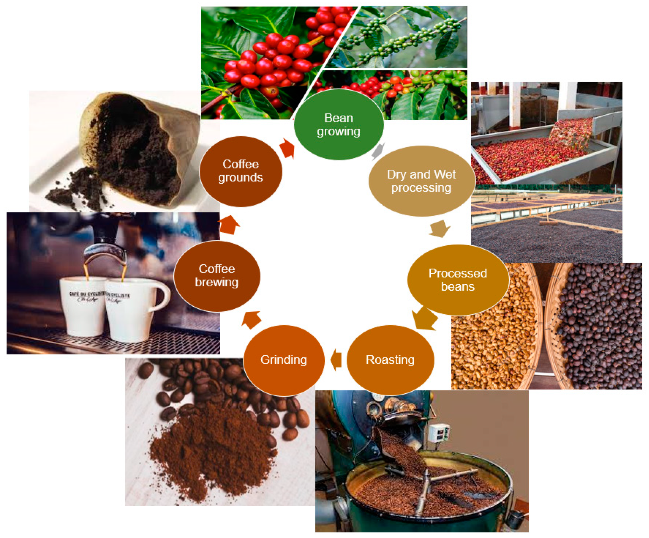 Materials 15 01689 g001