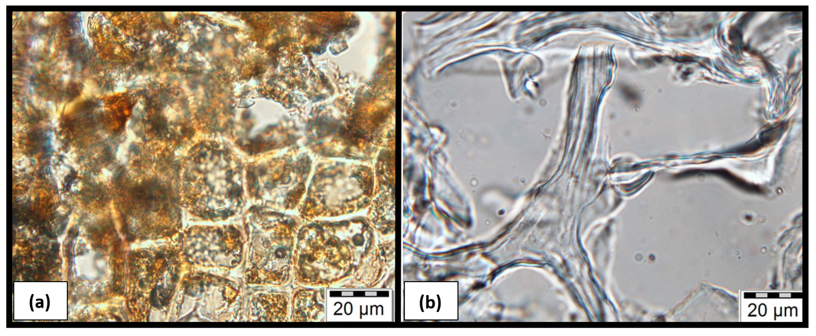 Materials 15 01689 g009