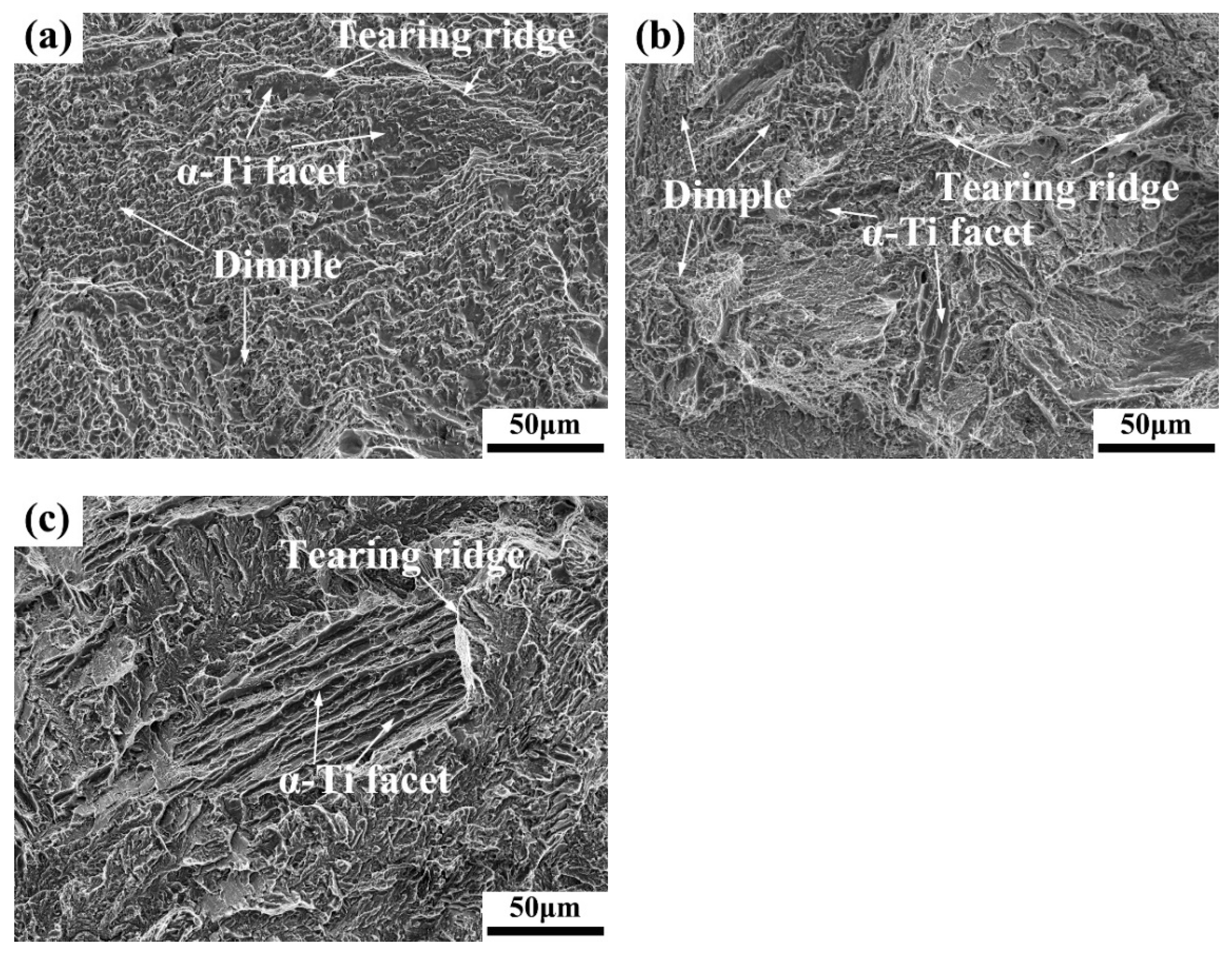 Materials 15 01696 g009 Materials 15 01696 g009