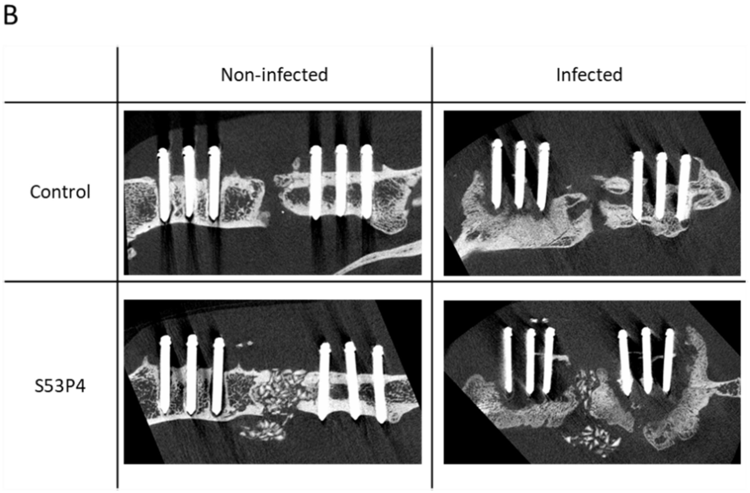 Materials 15 01697 g003b Materials 15 01697 g003b