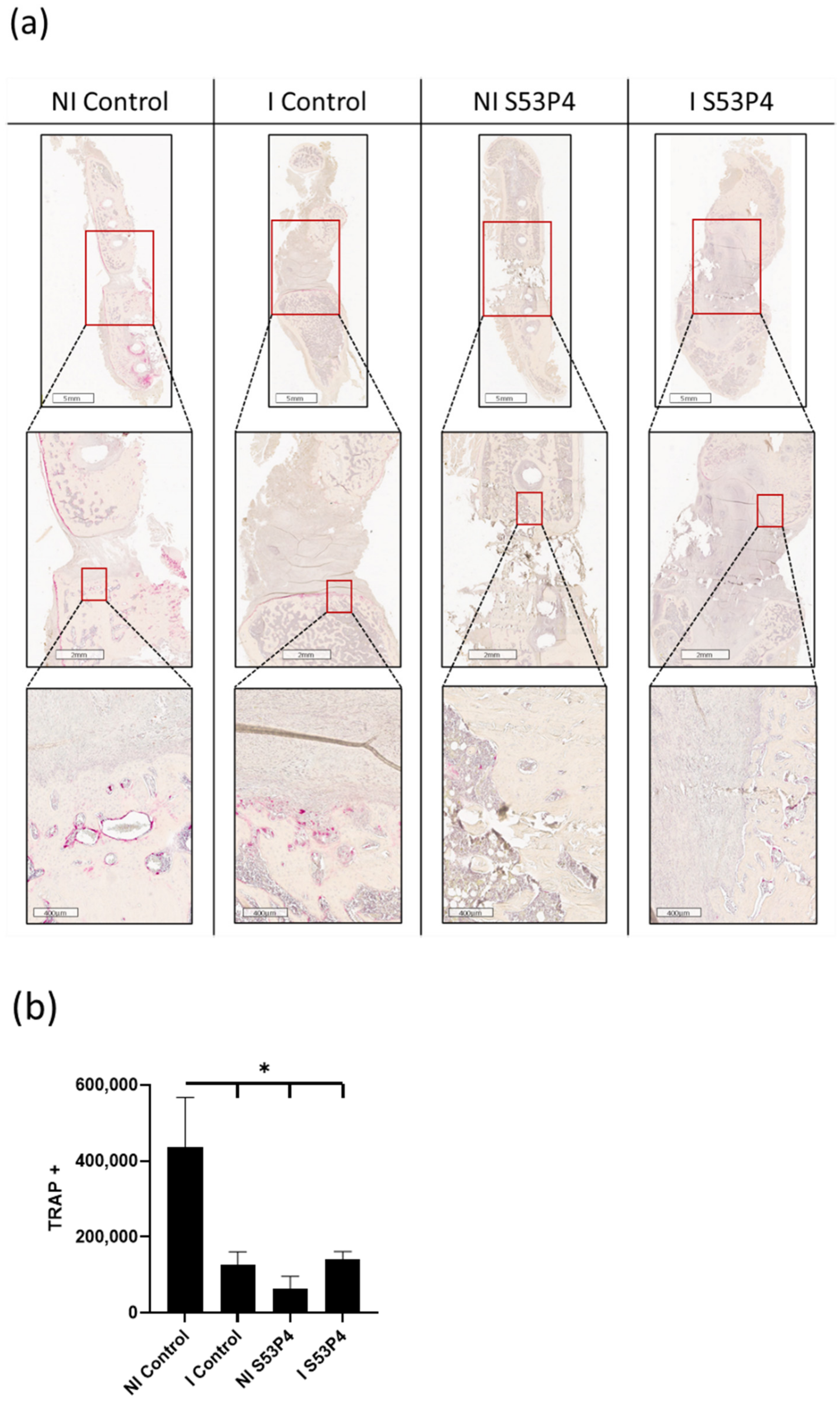 Materials 15 01697 g006 Materials 15 01697 g006