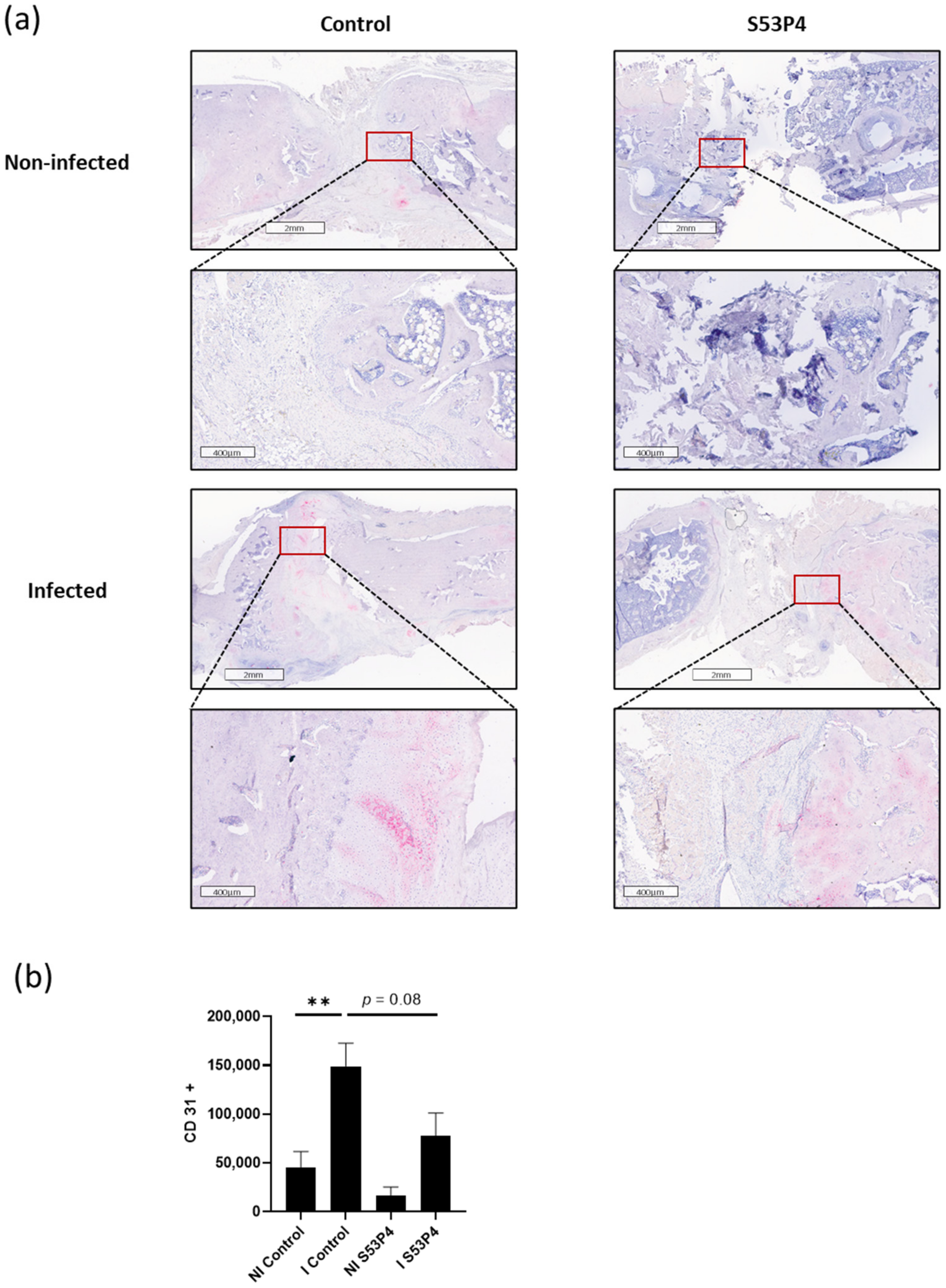 Materials 15 01697 g007 Materials 15 01697 g007
