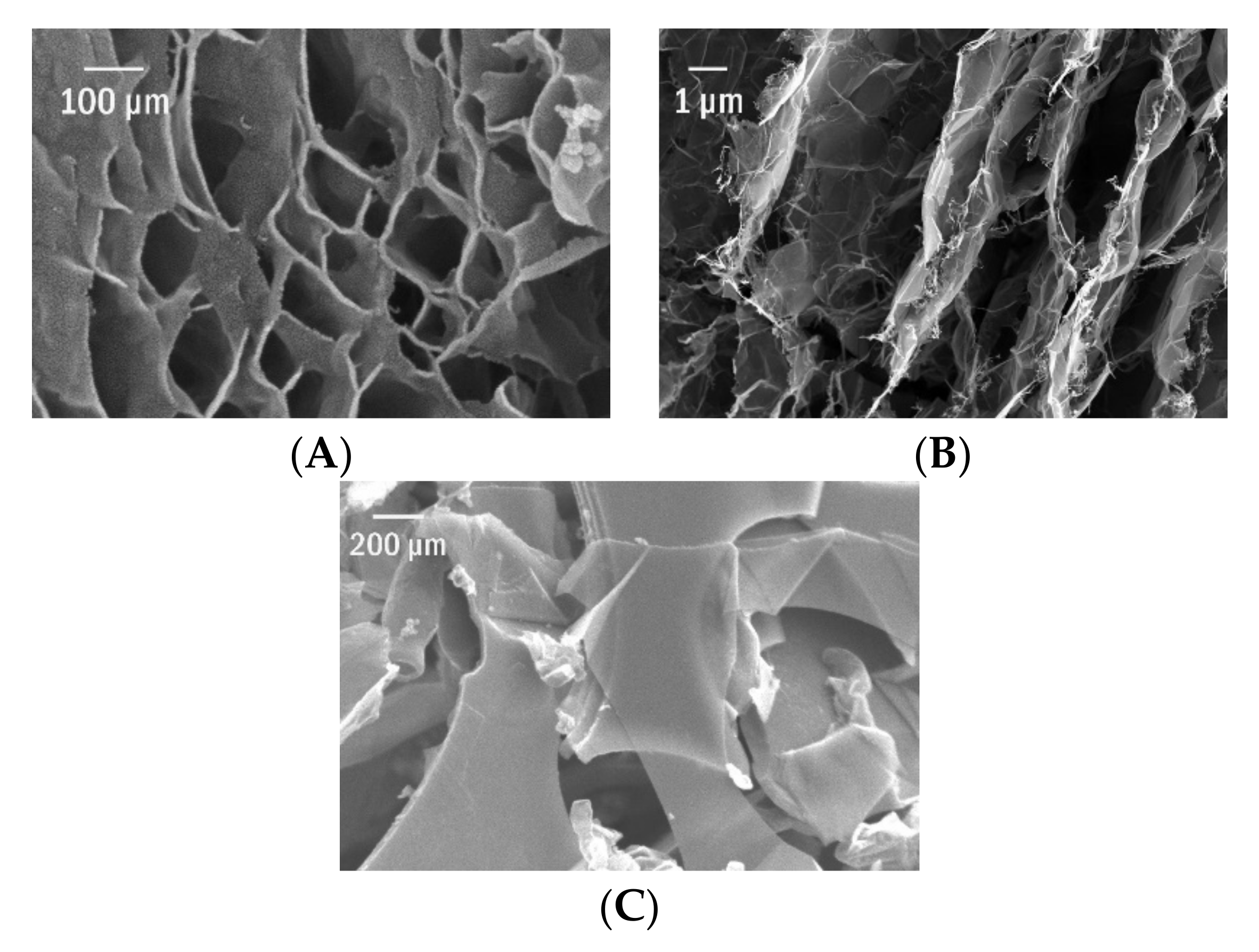 Materials 15 01699 g002