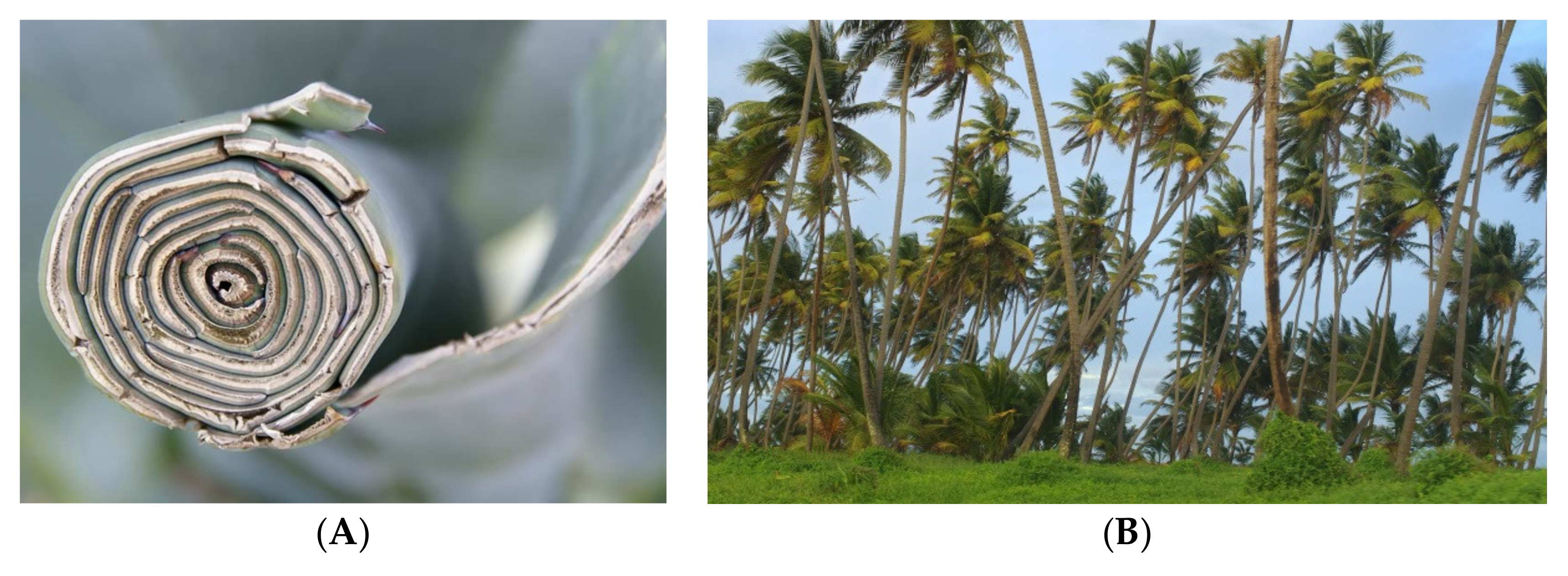 Materials 15 01699 g004