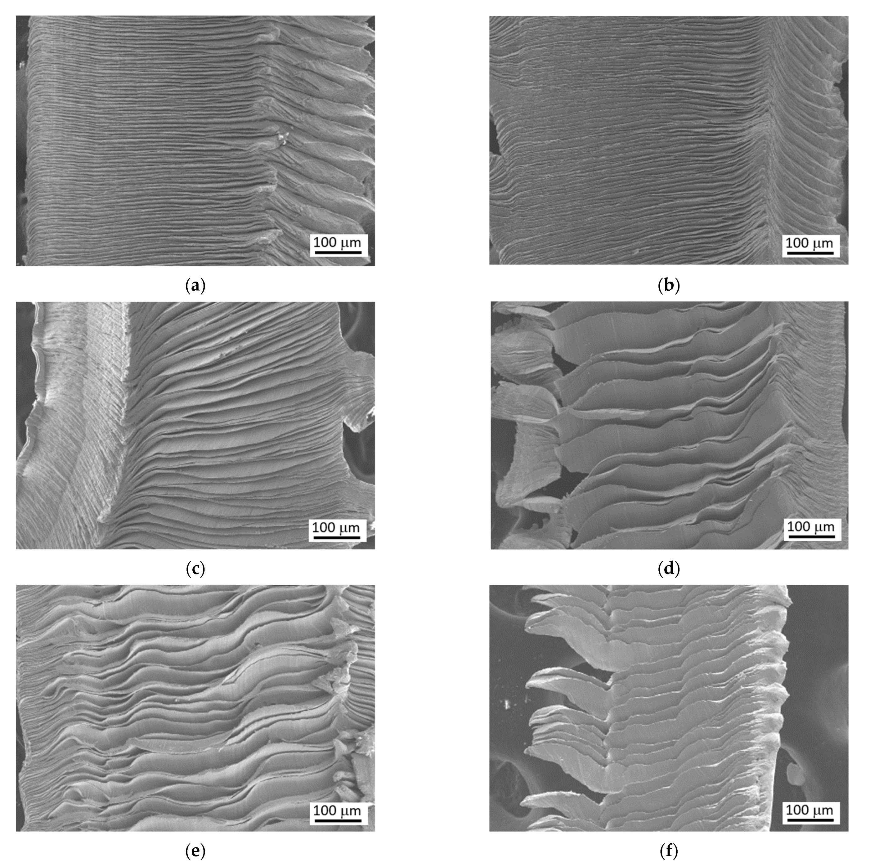 Materials 15 01718 g005 550