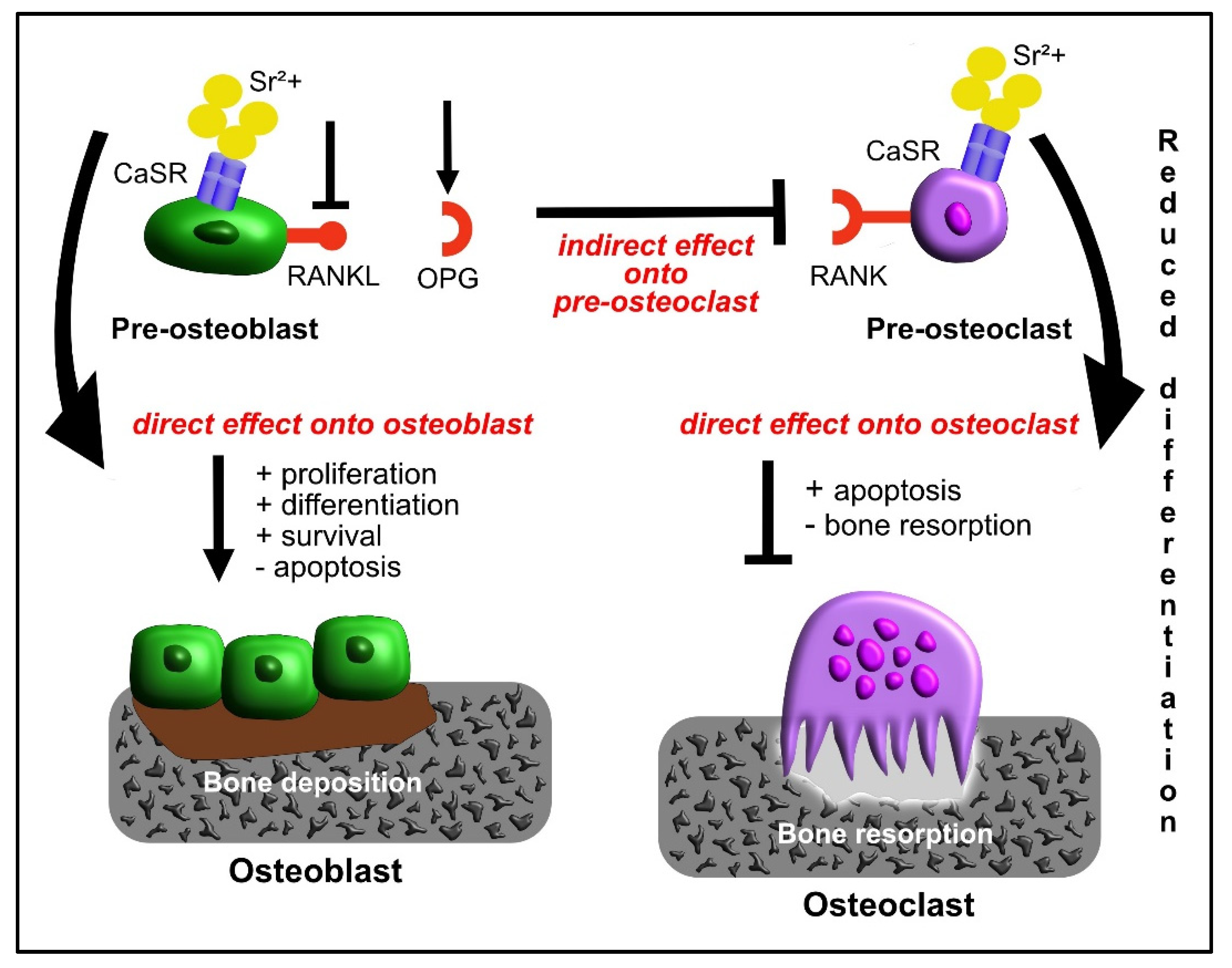 Materials 15 01724 g002