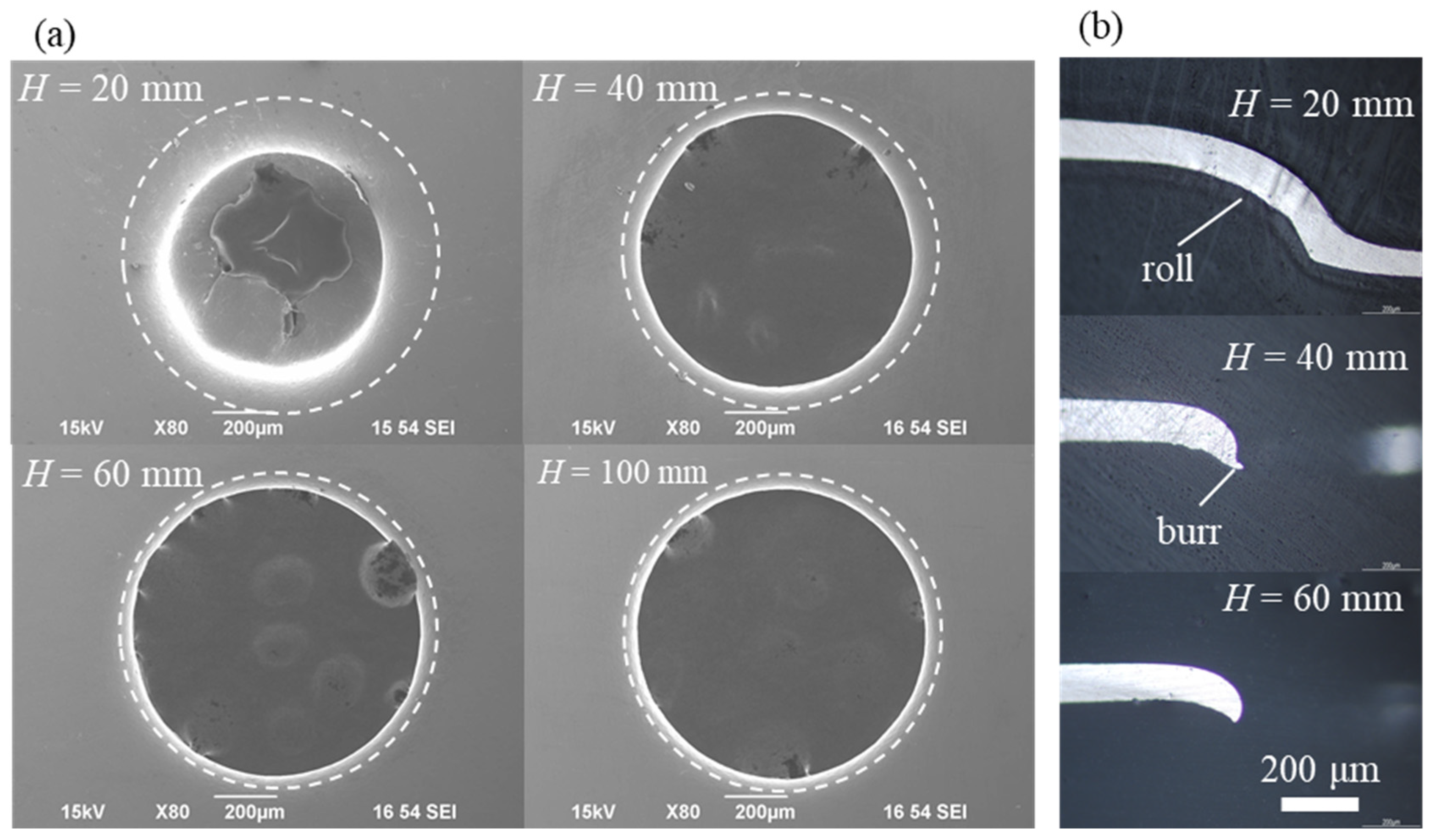 Materials 15 01727 g004 550